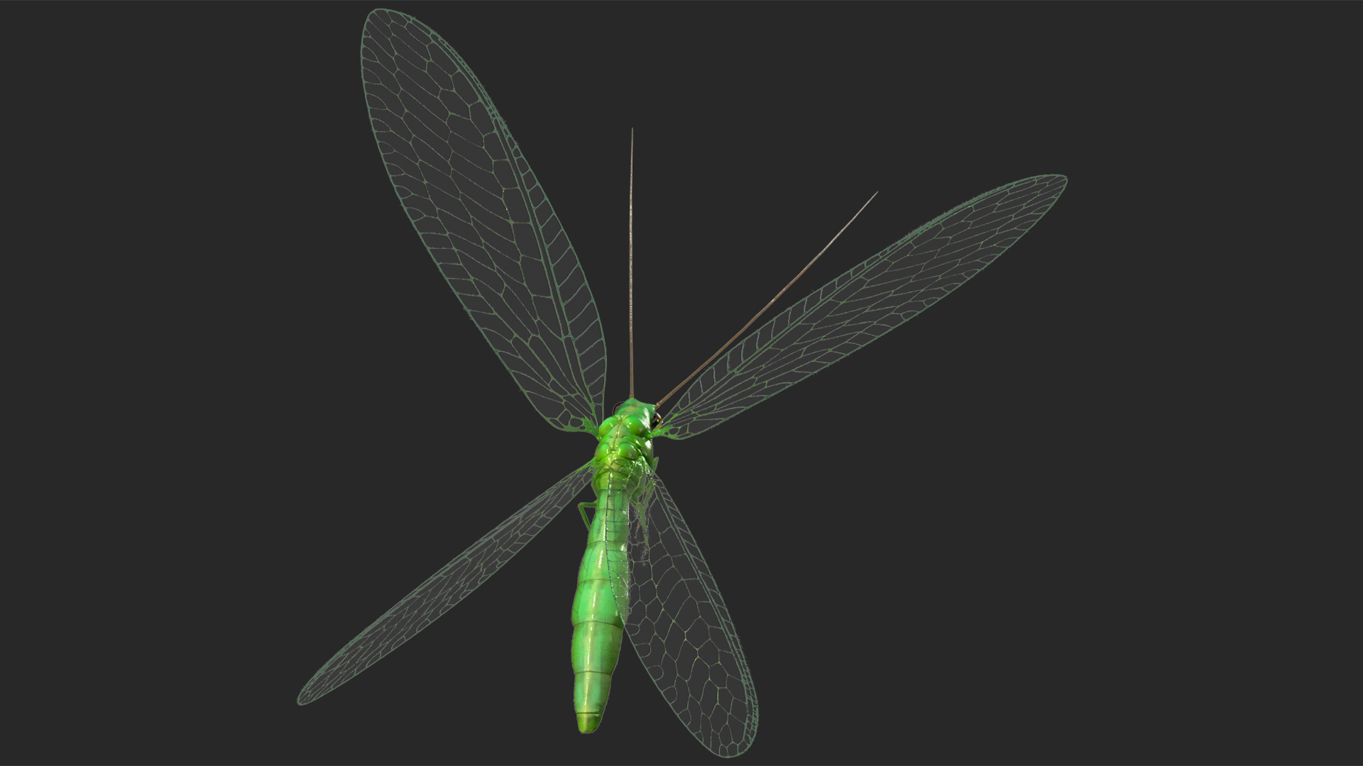 3D model Green Lacewing Fur Rigged