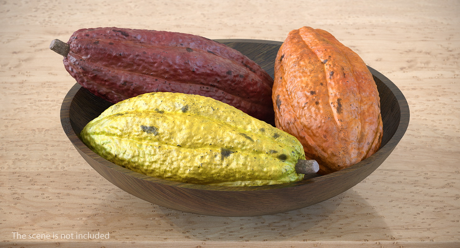 3D model Cocoa Fruit Set