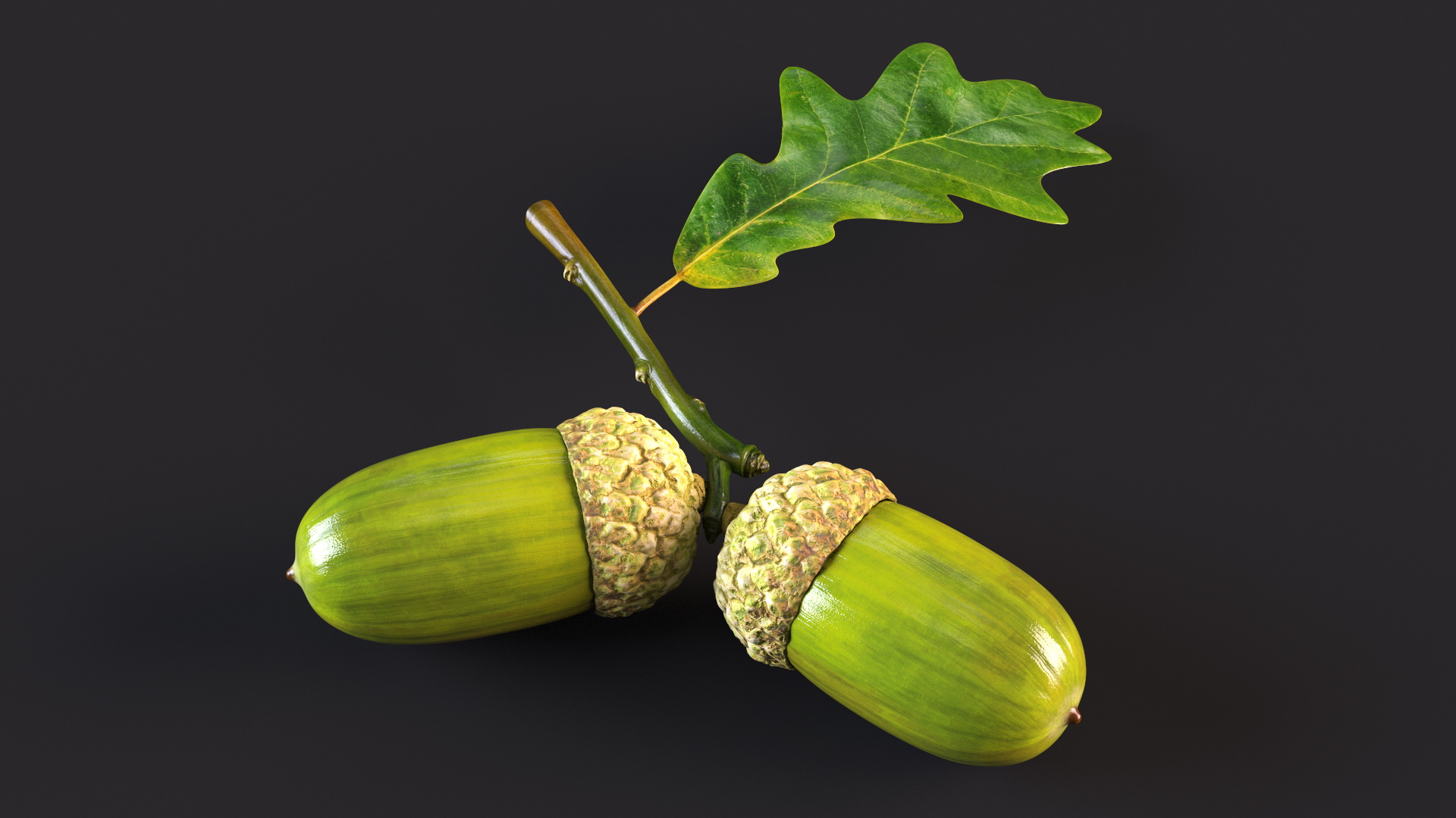 Green Acorns with Leaf 3D