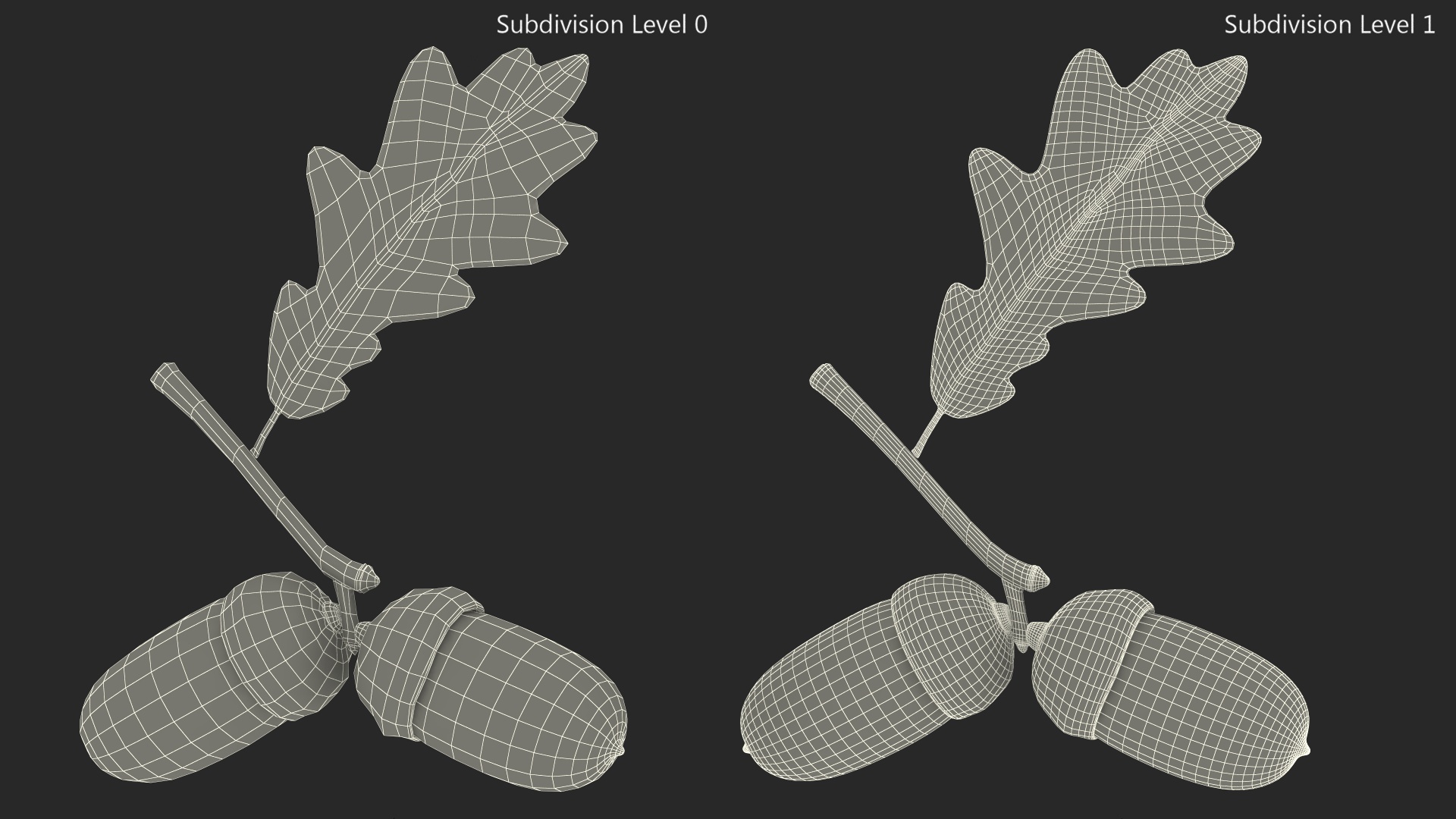 Green Acorns with Leaf 3D