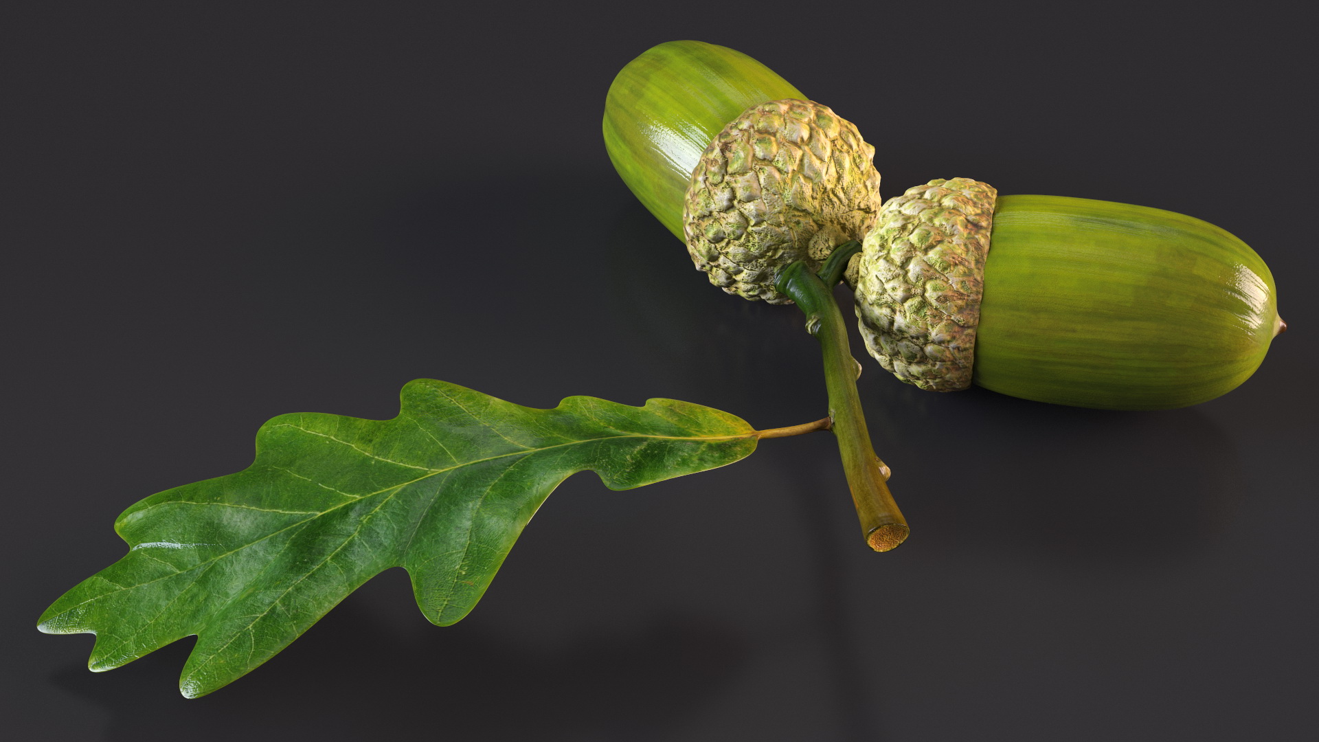 Green Acorns with Leaf 3D