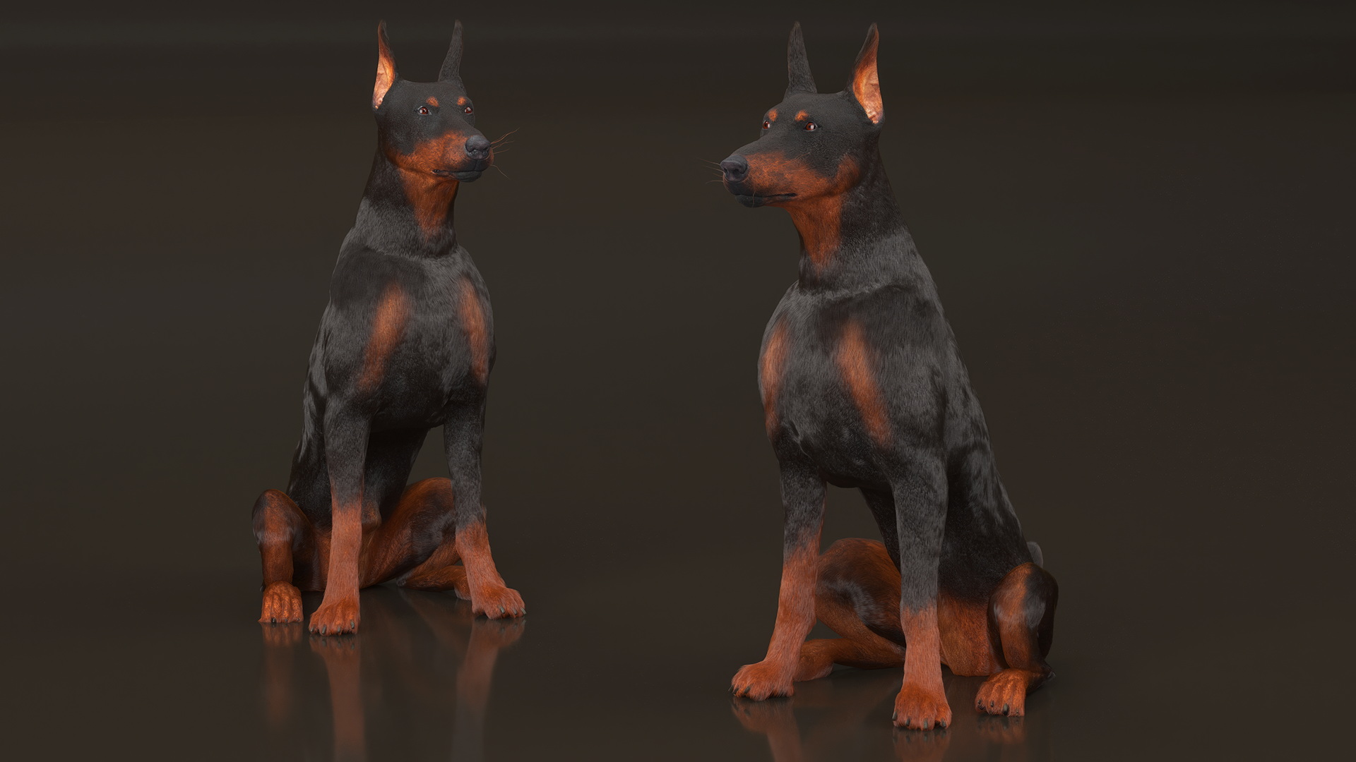 3D Doberman Pinscher Sits Fur