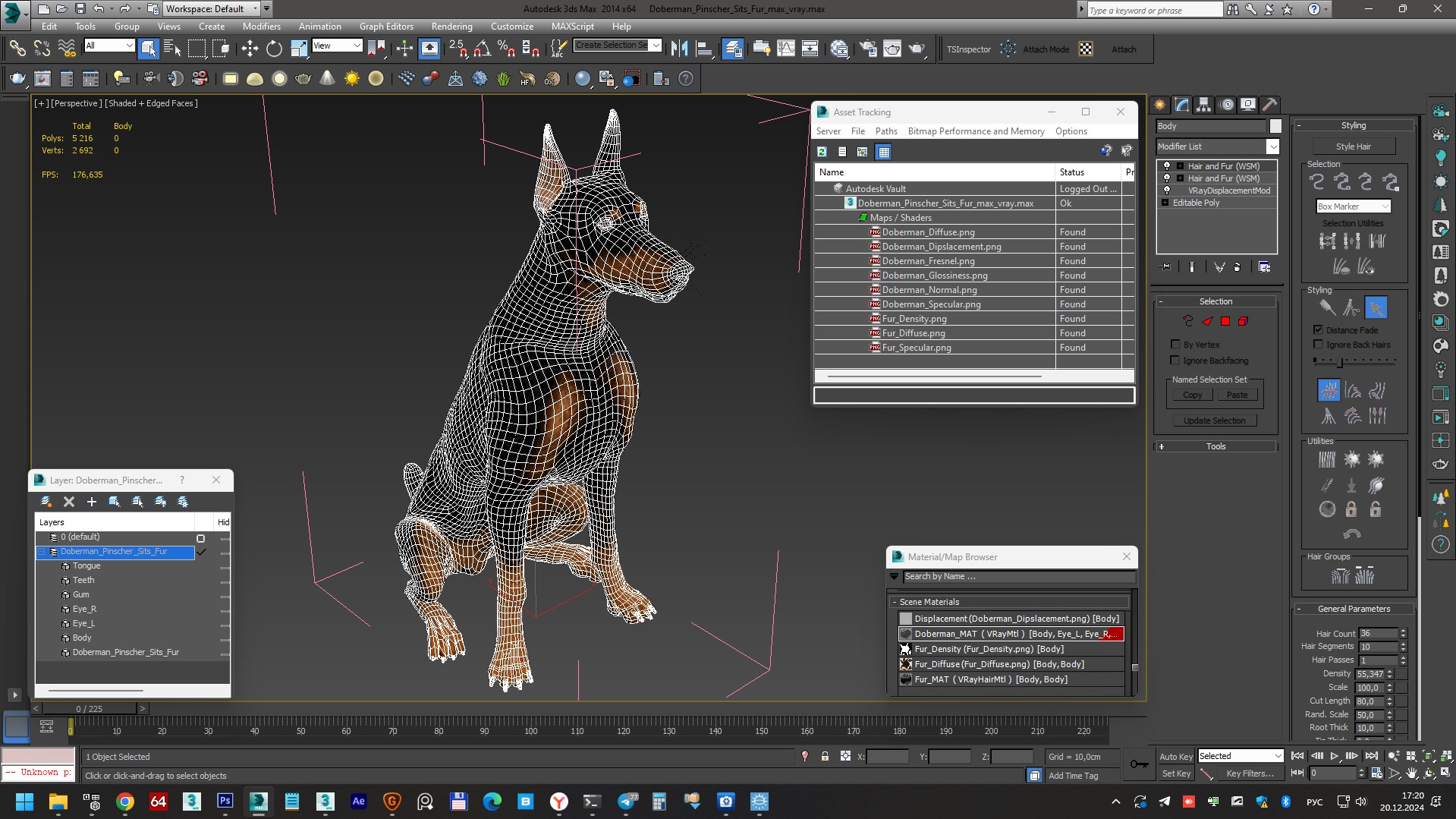 3D Doberman Pinscher Sits Fur