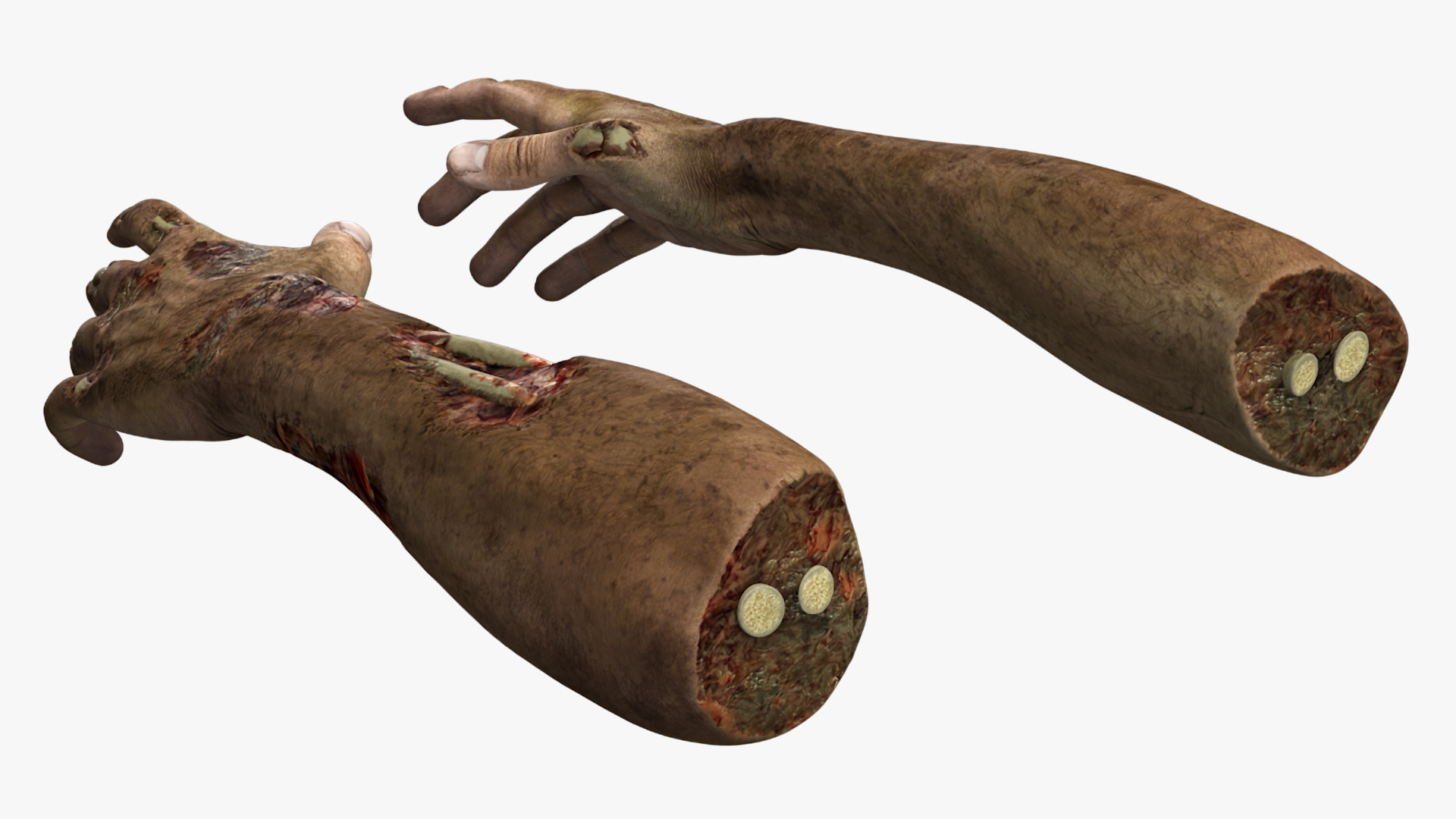 Realistic Zombie Hands 3D