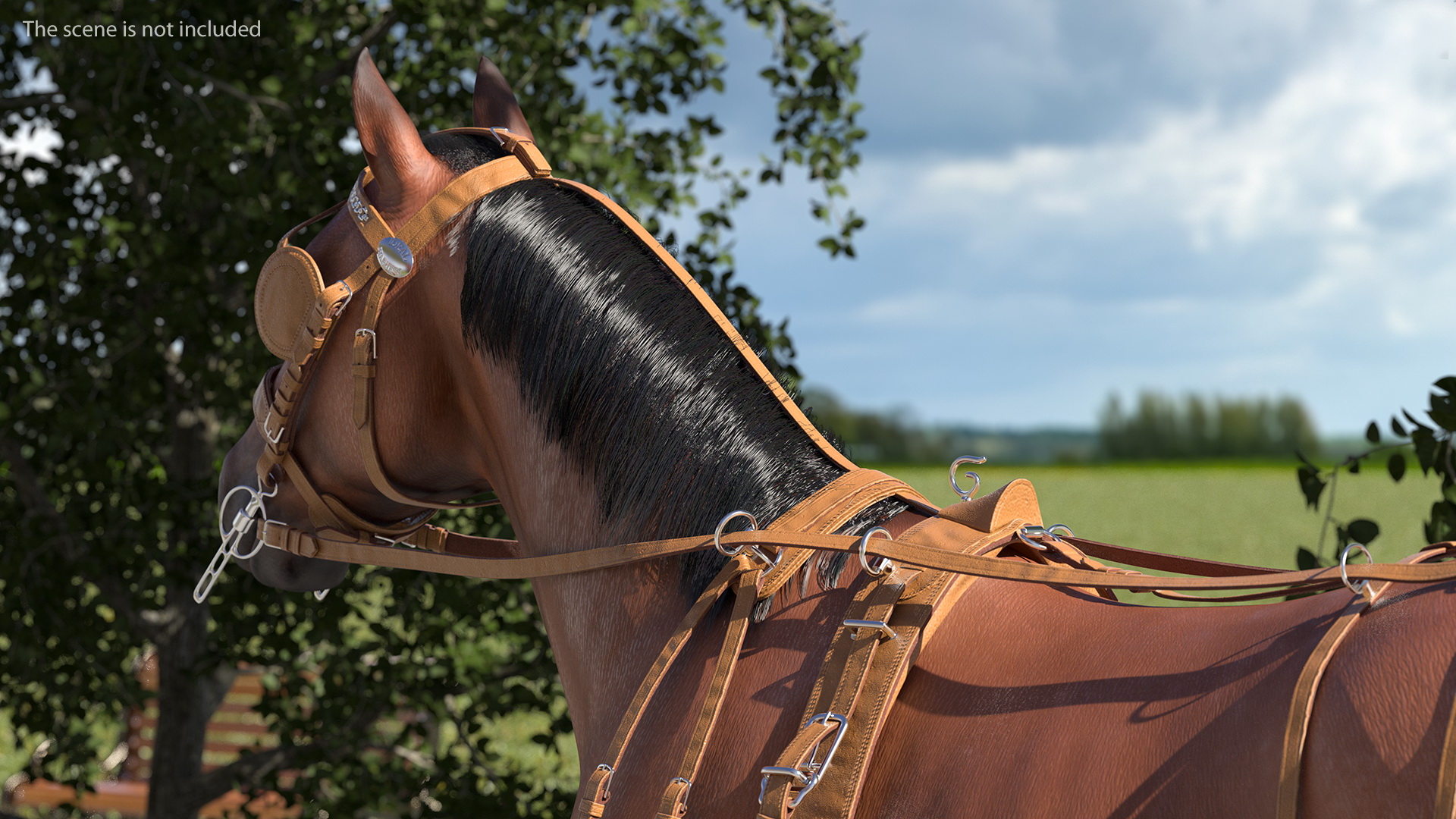 3D Horse Drawn Leather Single Driving Harness Fur Rigged model