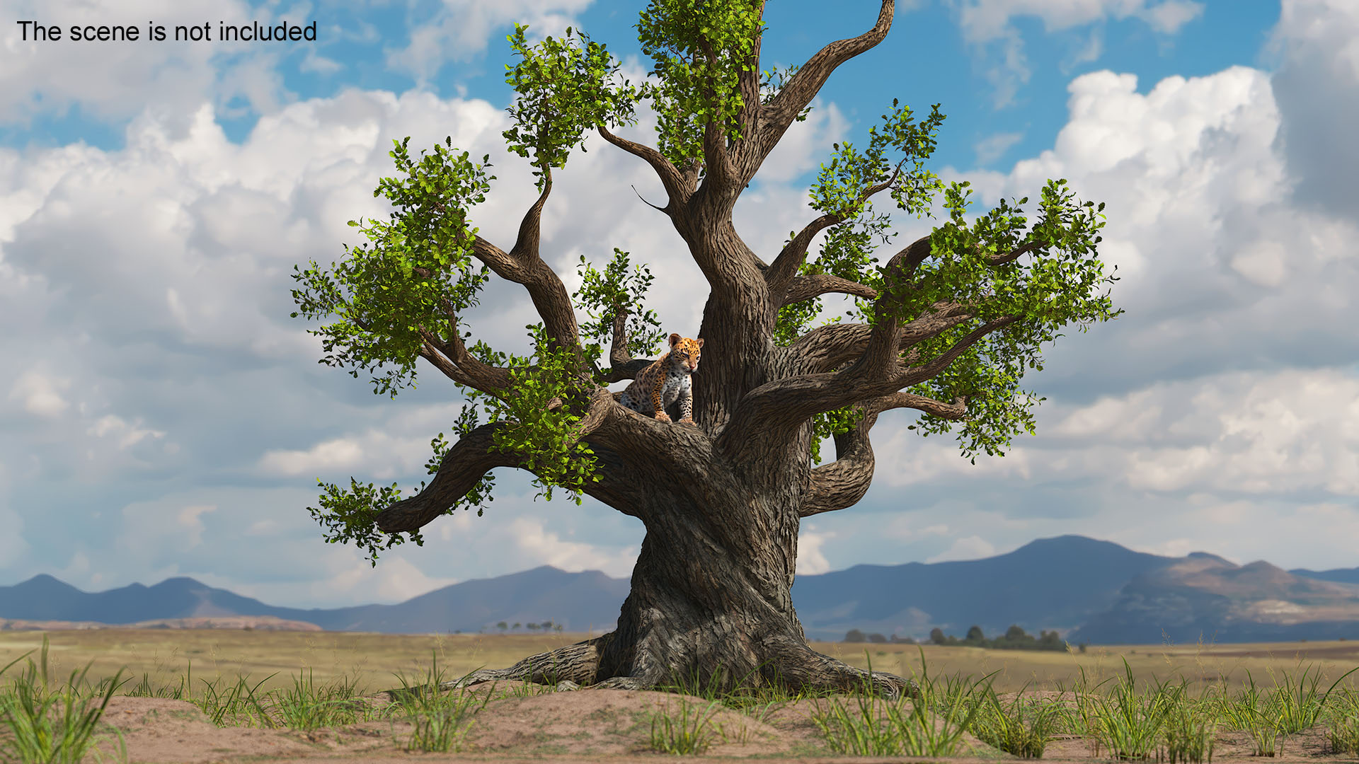 Leopard Cub on Ancient Twisted Tree Fur 3D model