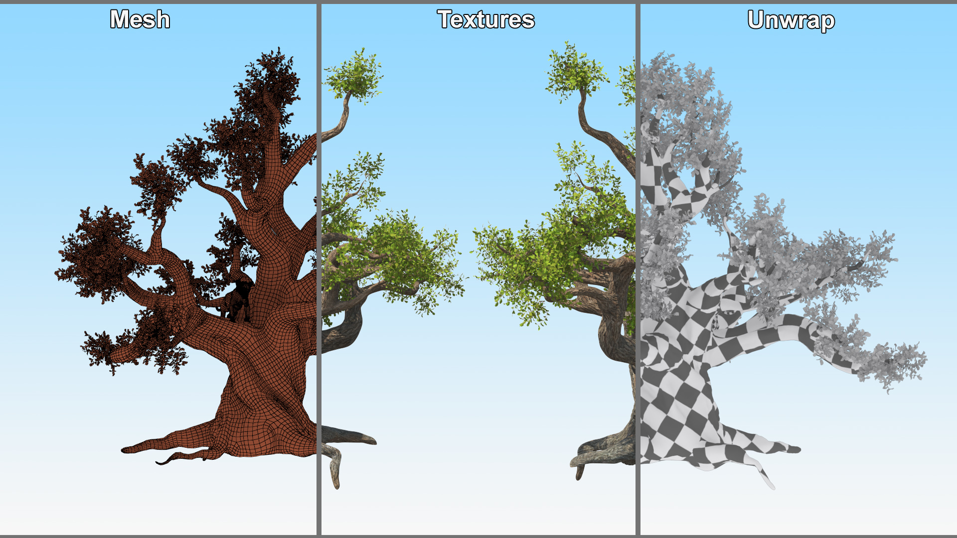 Leopard Cub on Ancient Twisted Tree Fur 3D model