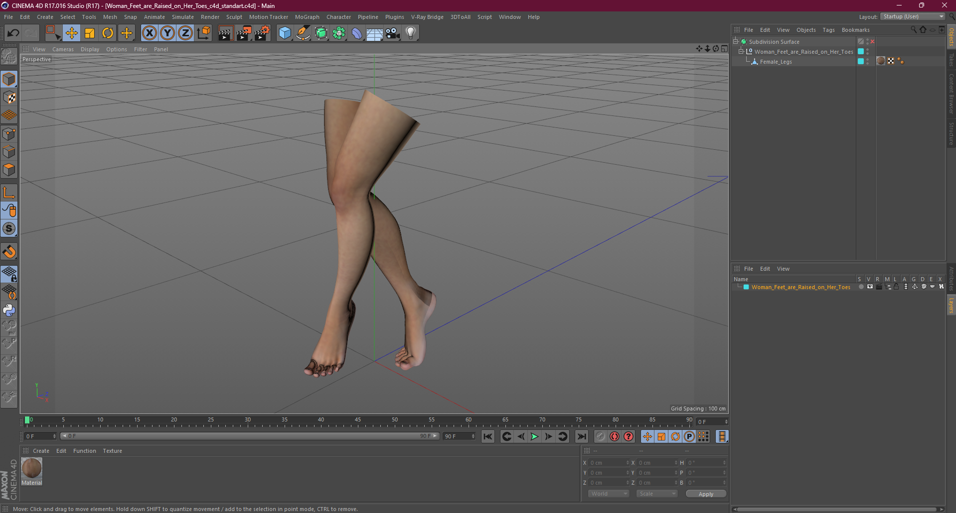 3D Woman Feet are Raised on Her Toes model