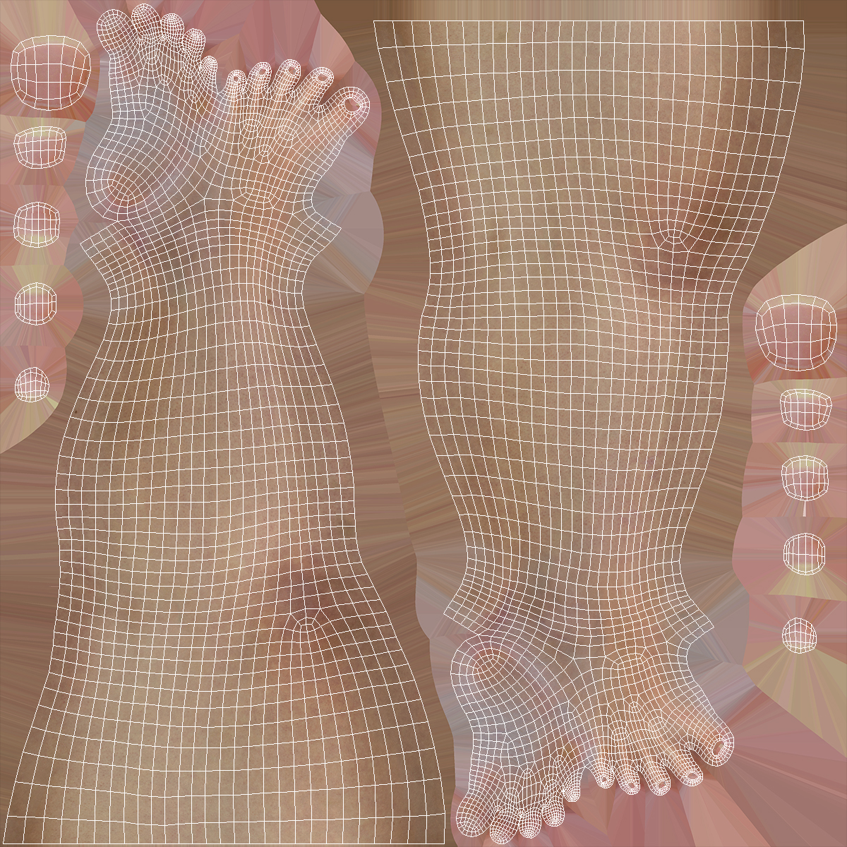 3D Woman Feet are Raised on Her Toes model