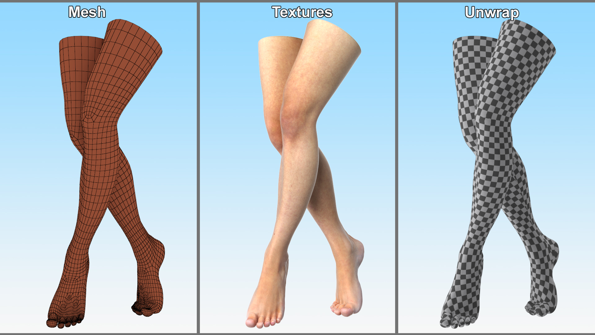 3D Woman Feet are Raised on Her Toes model