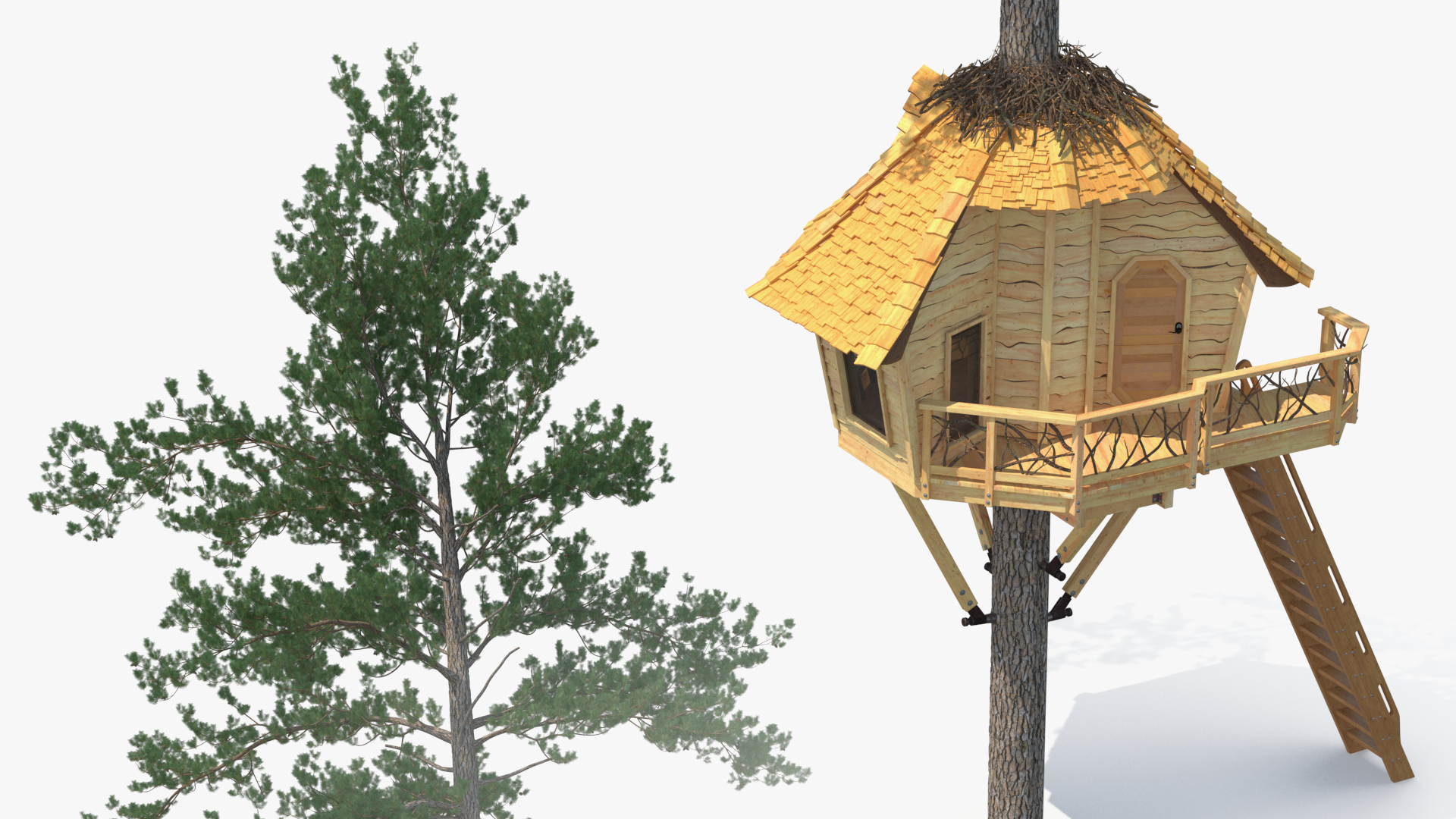 Tree House with One Pine 3D model