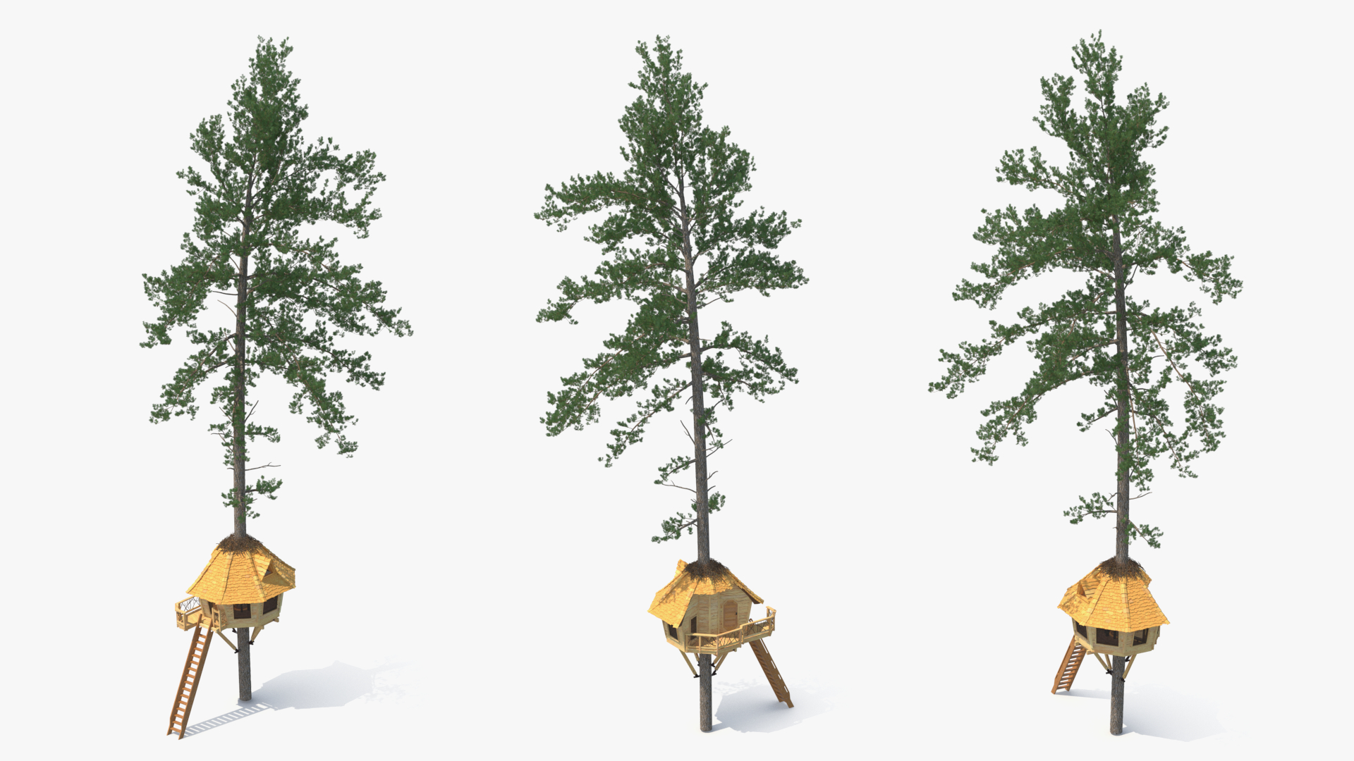 Tree House with One Pine 3D model