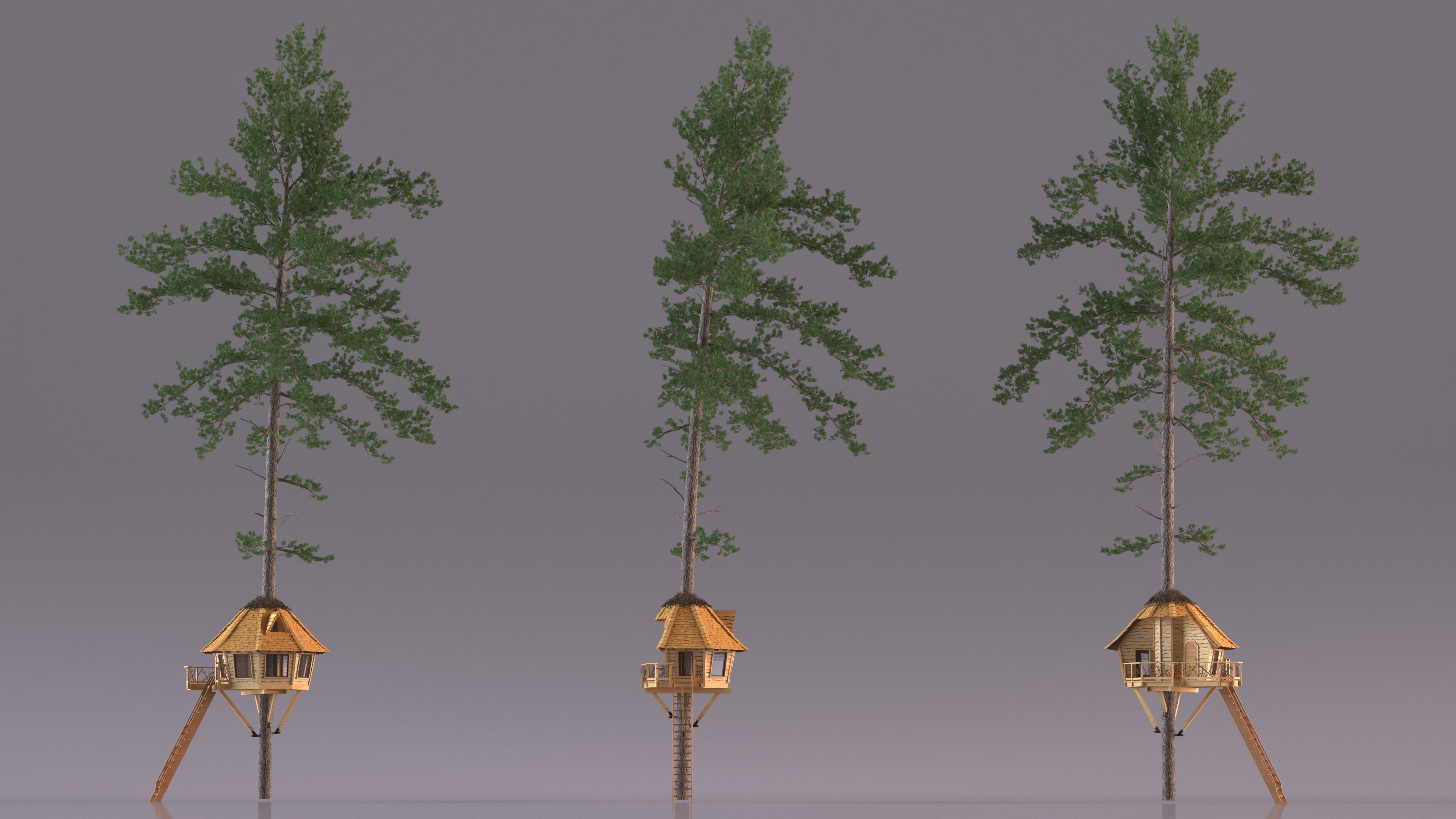 Tree House with One Pine 3D model