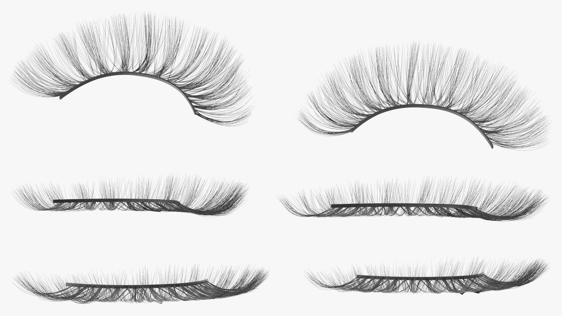 3D model False Eyelashes