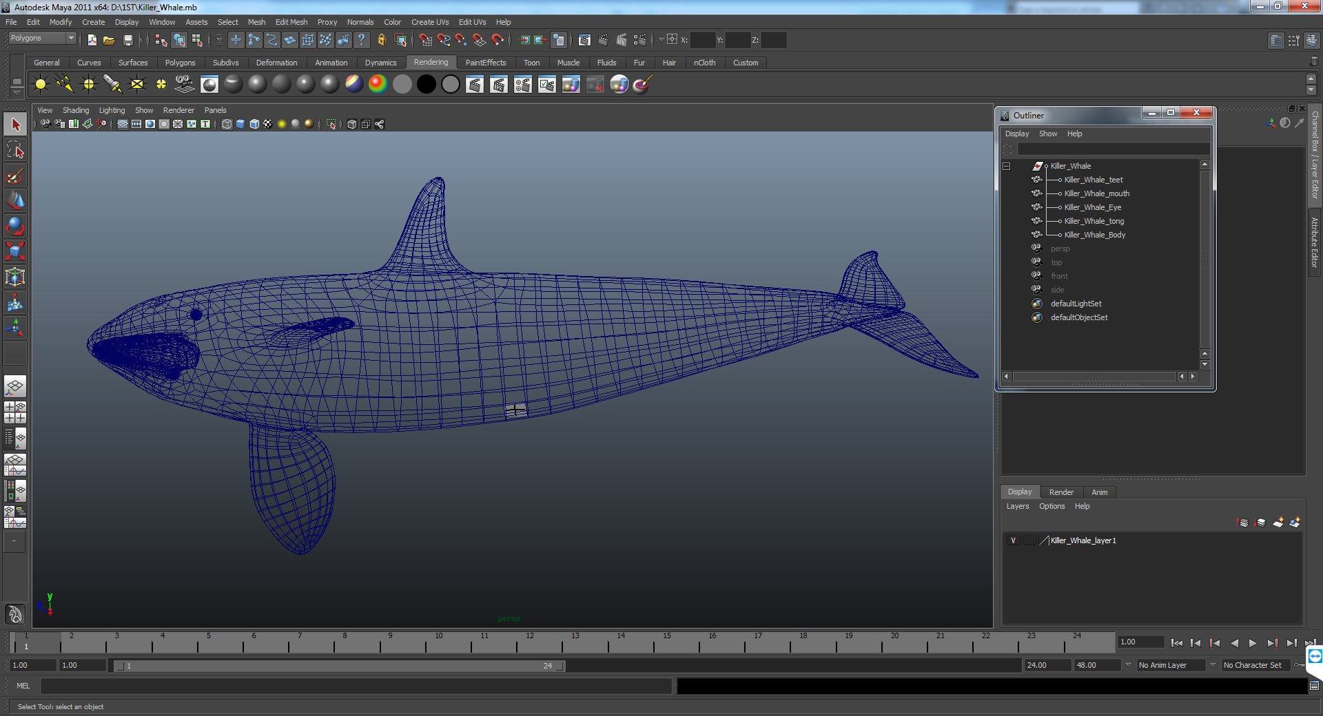 Killer Whale 3D