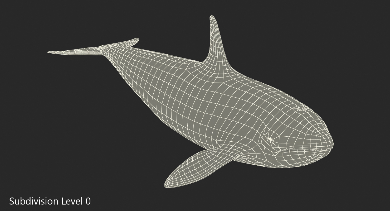 Killer Whale 3D