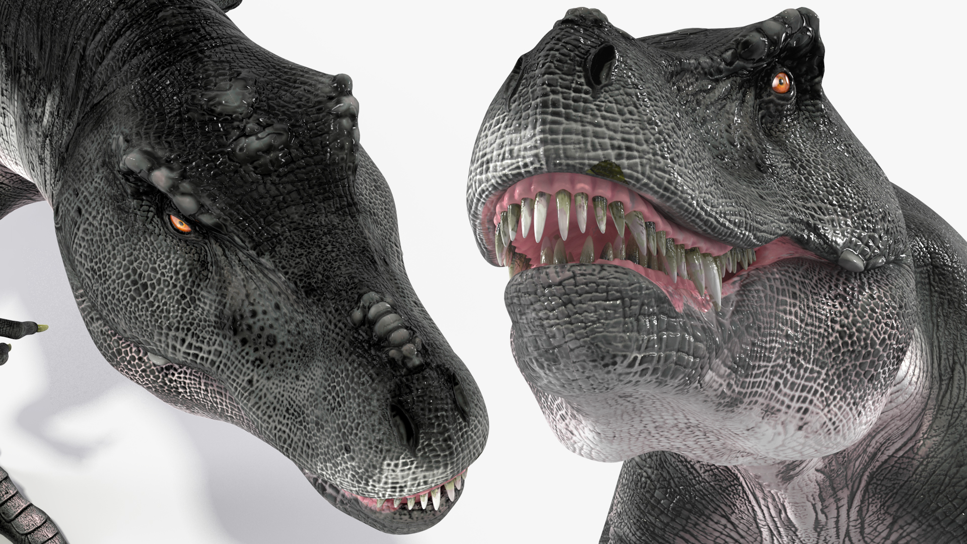 T Rex Running Animated Rigged 3D model