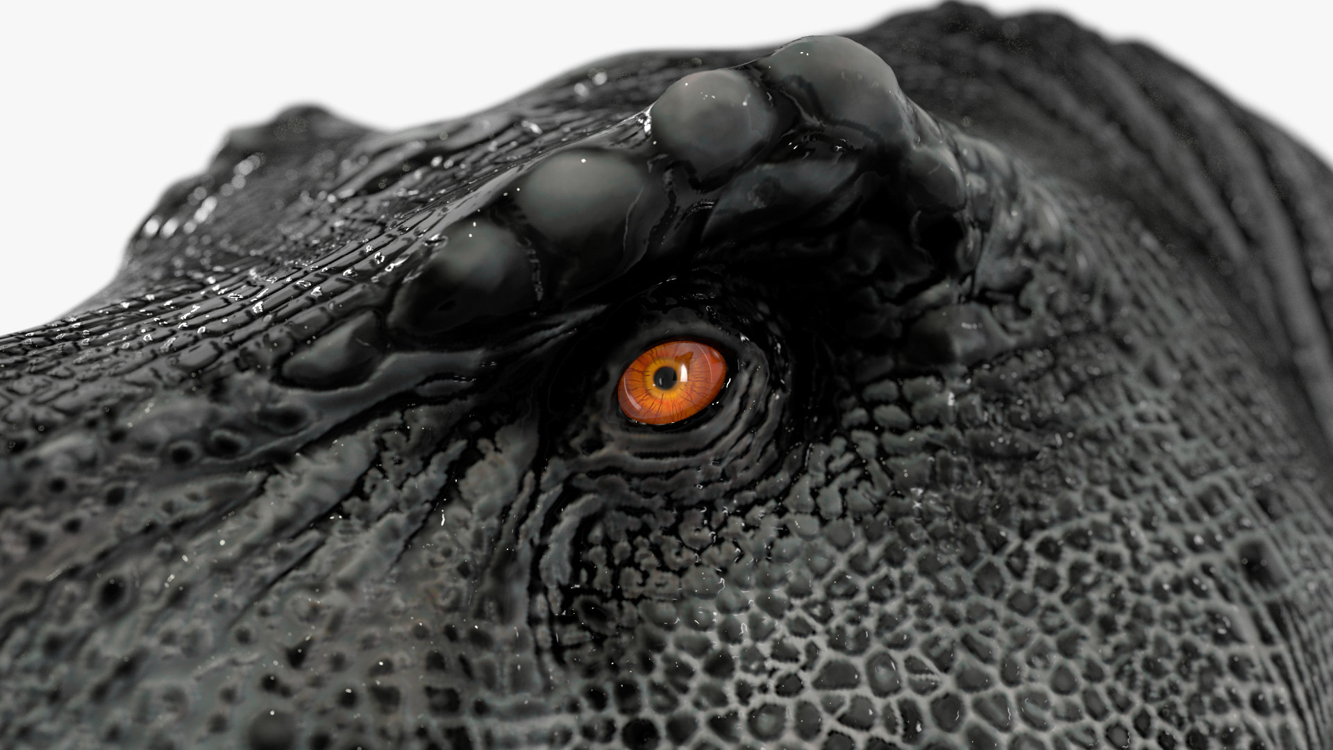 3D T Rex Running Animated Rigged for Cinema 4D model