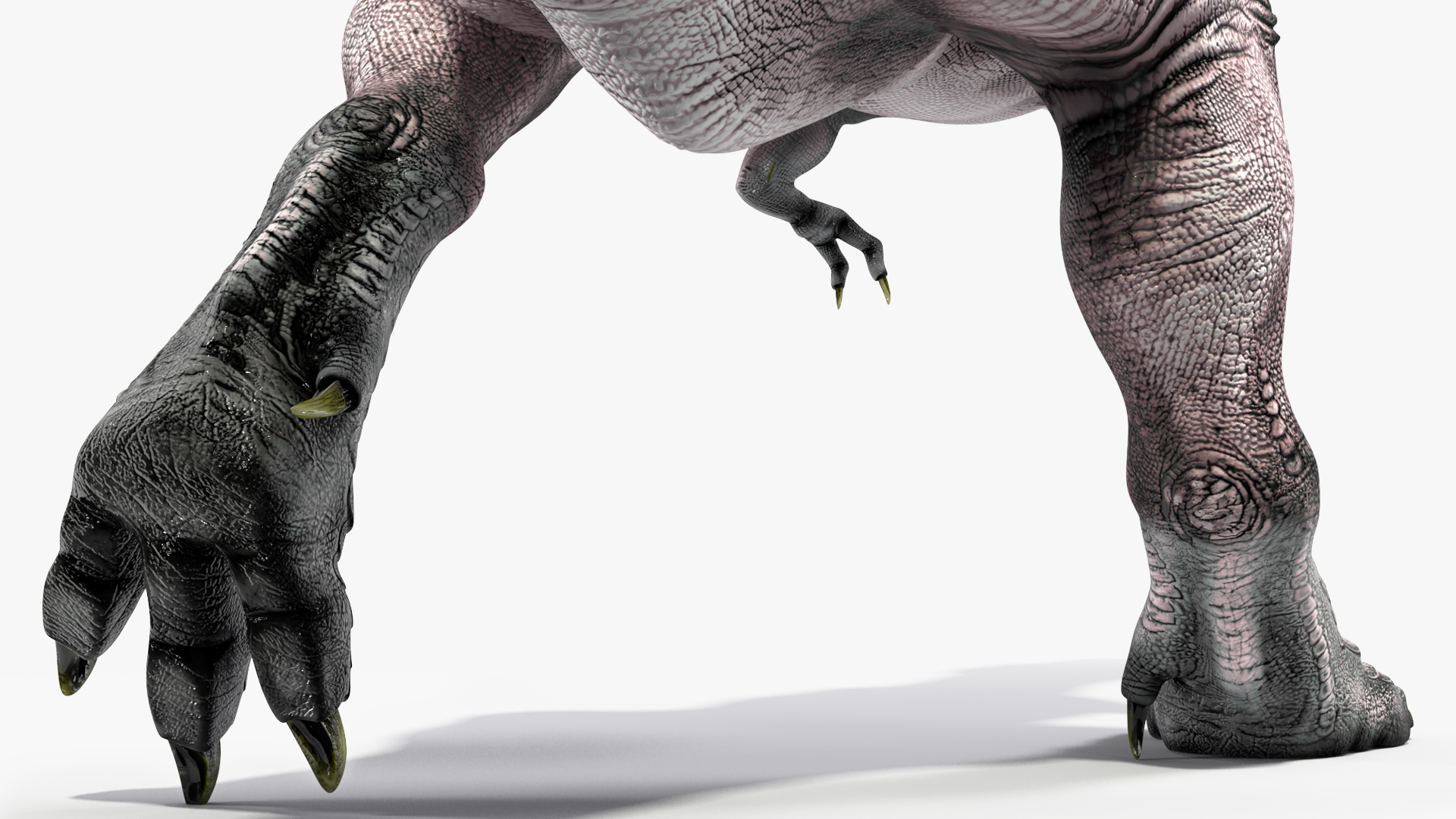 T Rex Running Animated Rigged 3D model