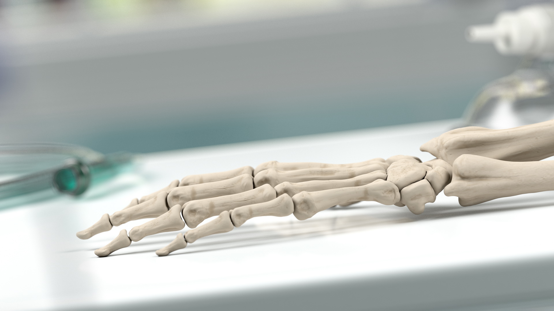 3D Male Skeleton Full Body model