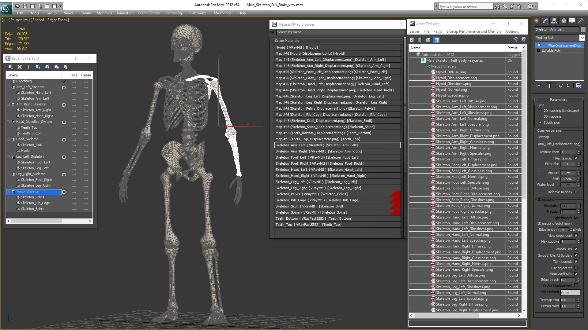 3D Male Skeleton Full Body model