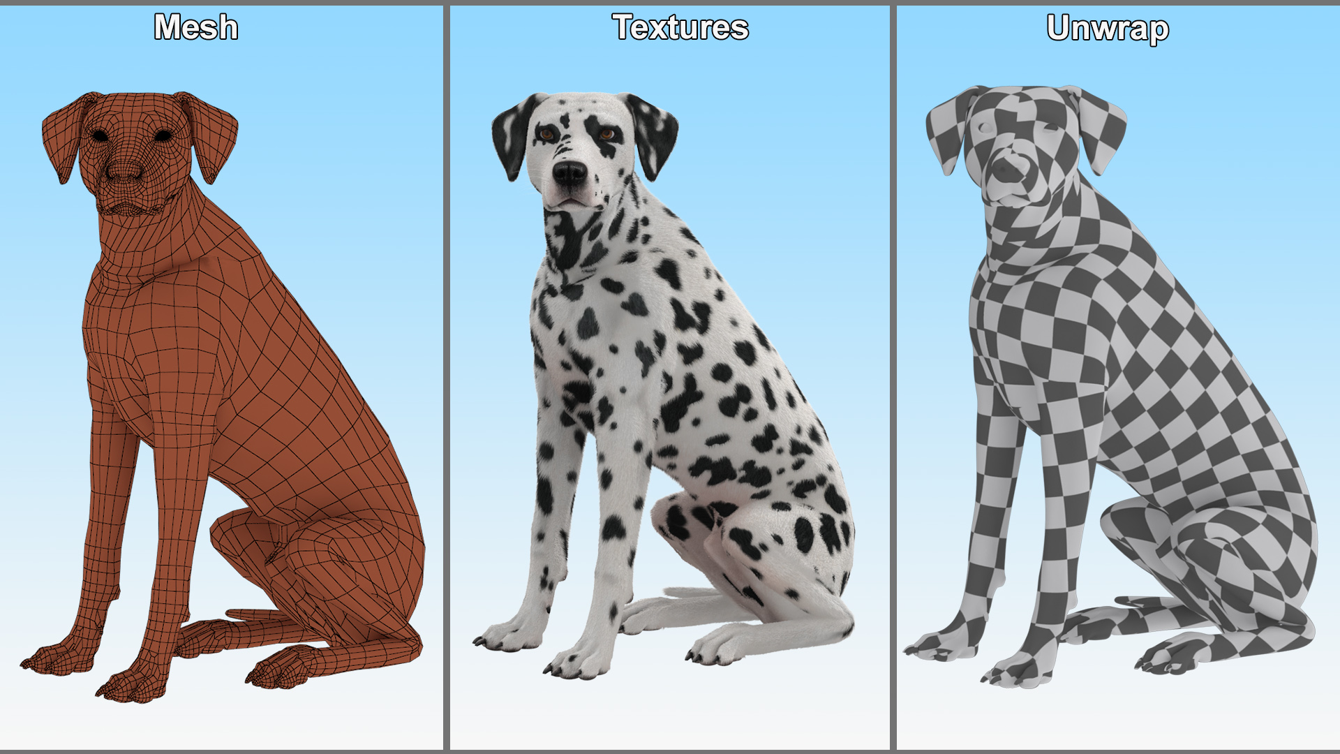 3D Spotted Sitting Dalmatian Dog Fur model