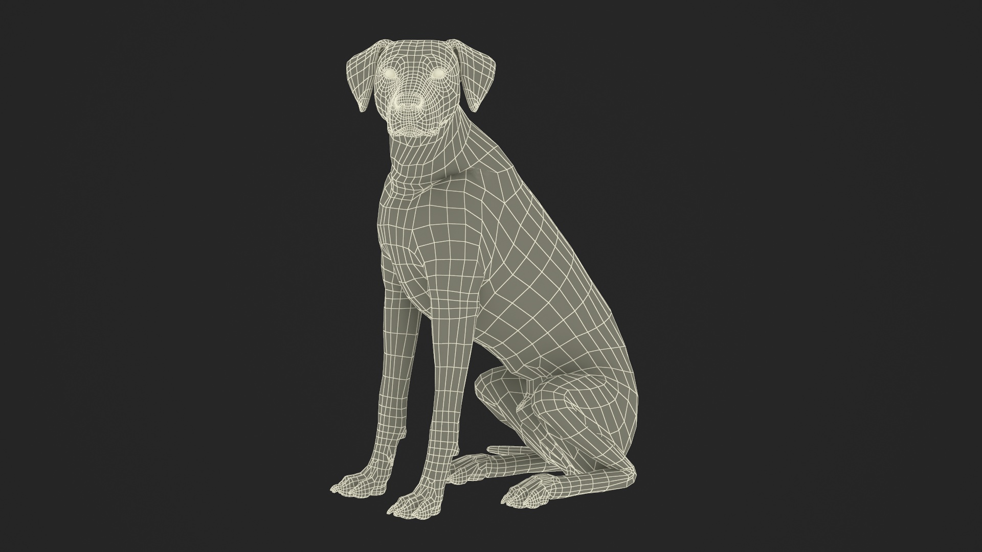 3D Spotted Sitting Dalmatian Dog Fur model