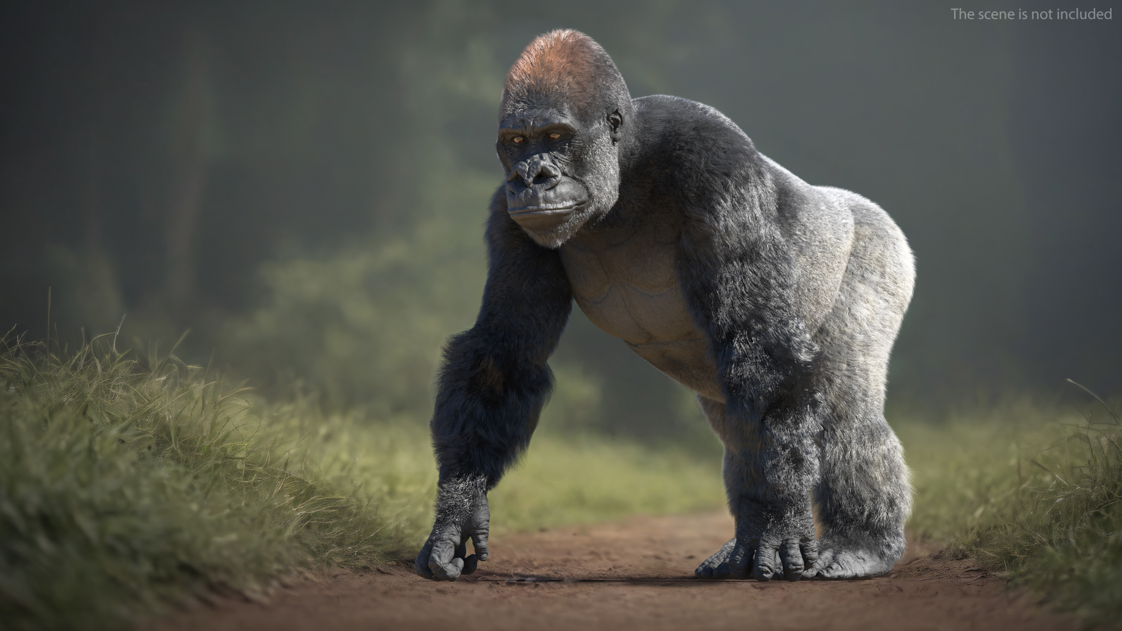 Gorilla Fur Animated Rigged 3D