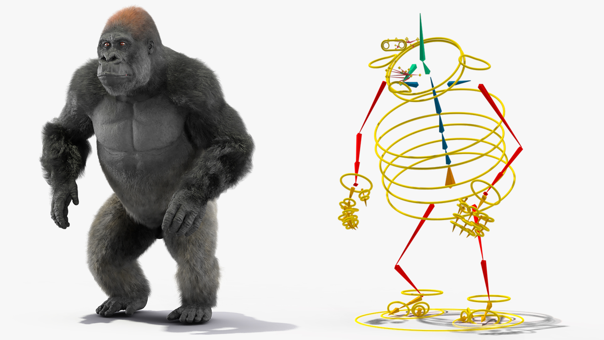 Gorilla Fur Animated Rigged 3D