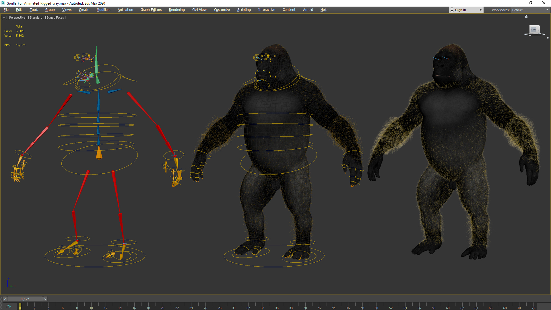 Gorilla Fur Animated Rigged 3D