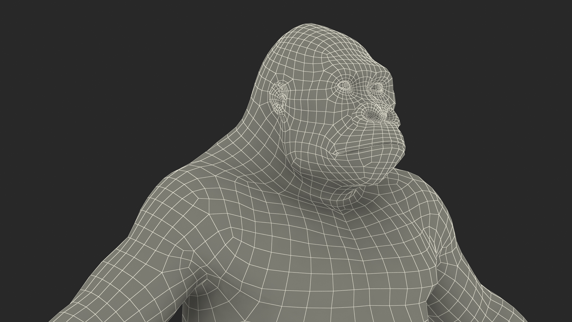 Gorilla Fur Animated Rigged 3D