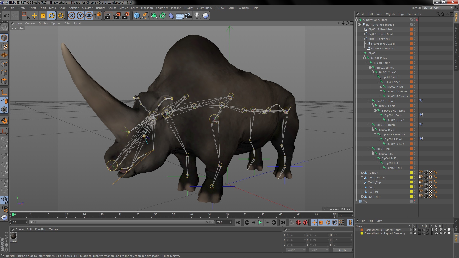 Elasmotherium Rigged for Cinema 4D 3D model