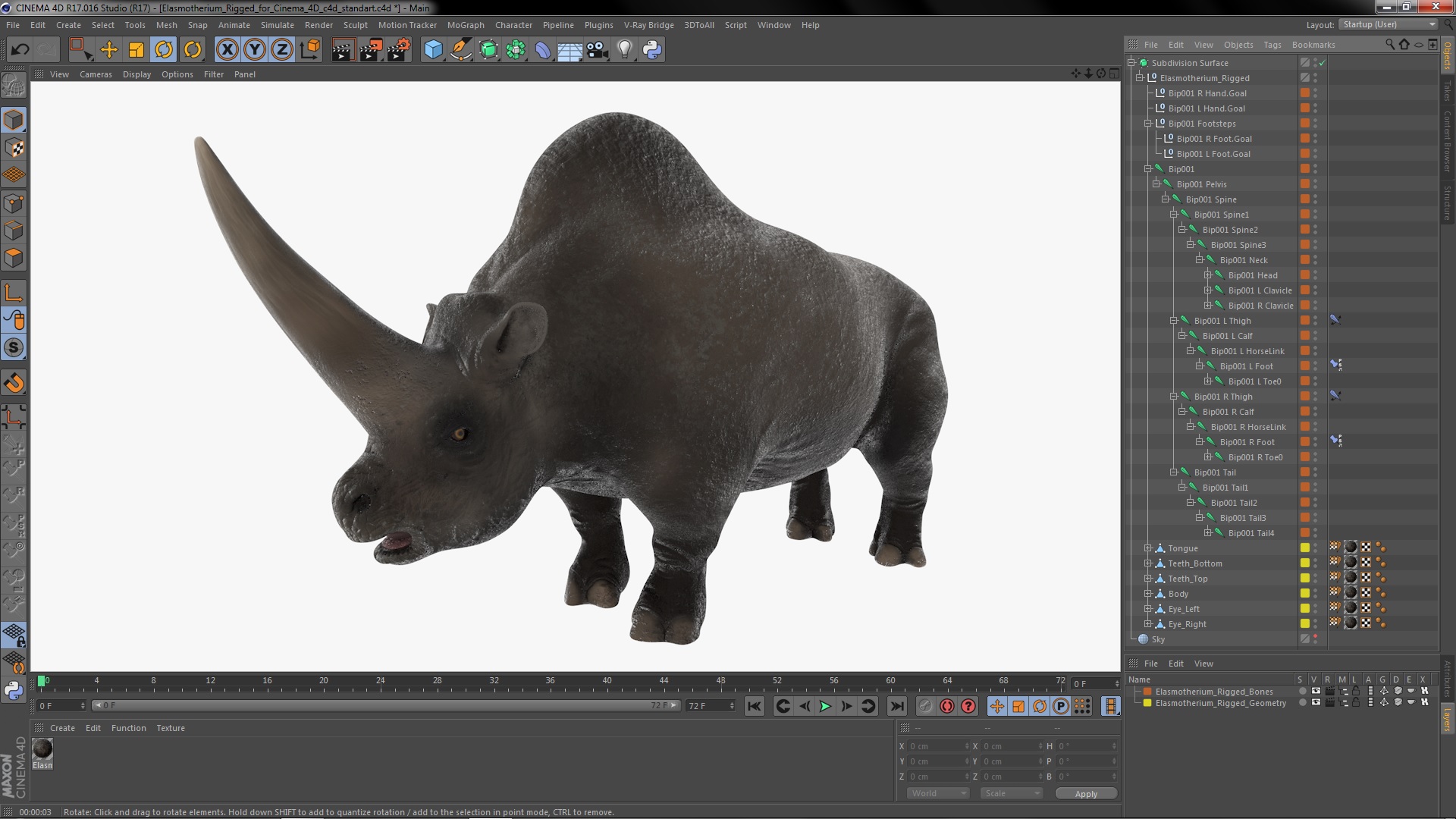 Elasmotherium Rigged for Cinema 4D 3D model