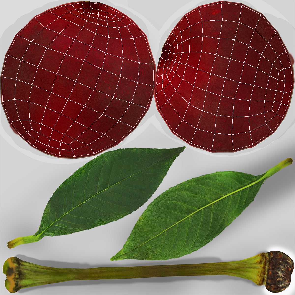 Cherry Fruit 3D