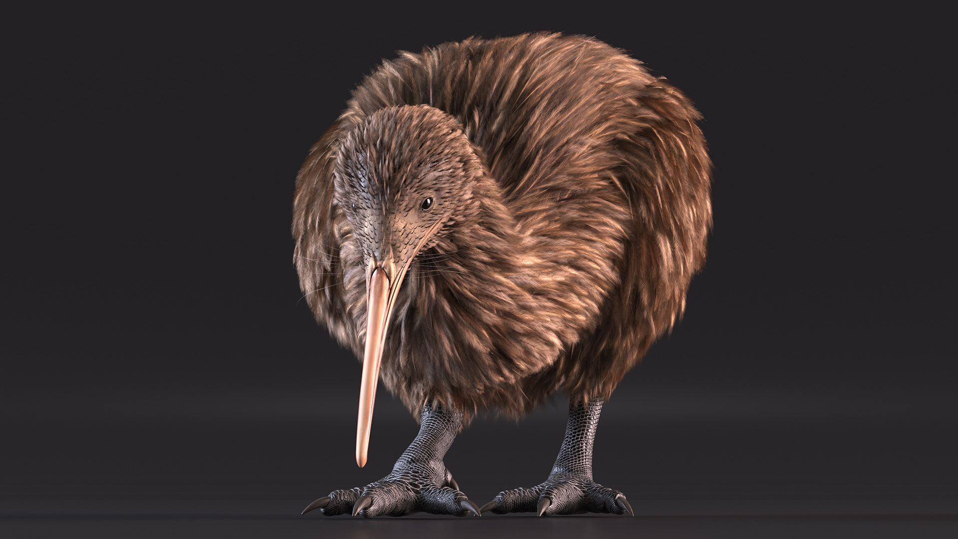 Cute Kiwi Bird 3D model