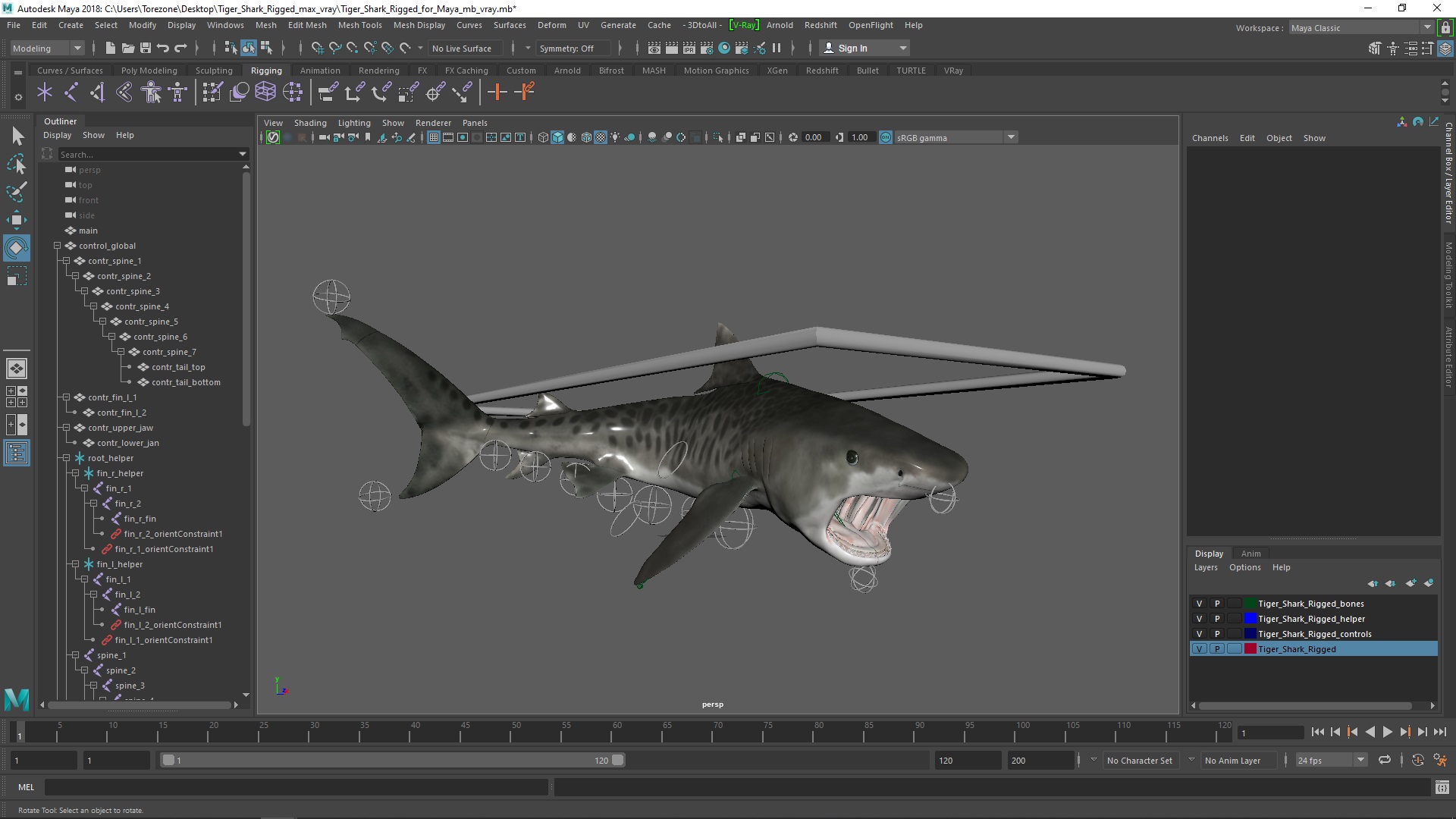 Tiger Shark Rigged for Maya 3D