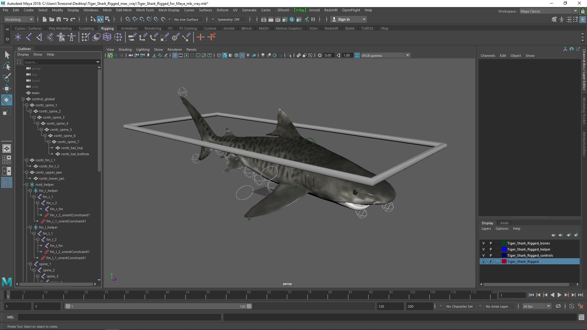 Tiger Shark Rigged for Maya 3D