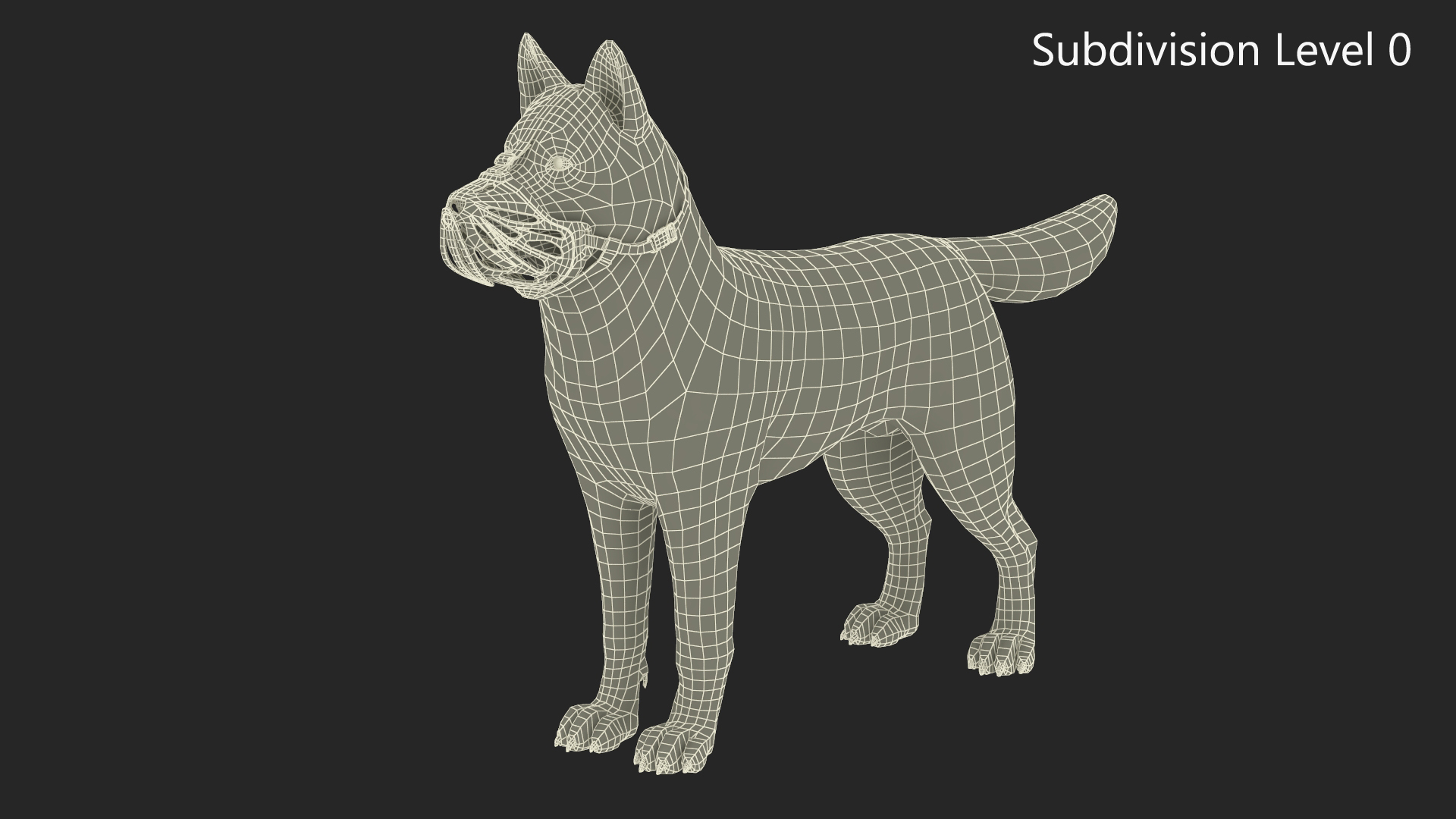 3D Siberian Husky with Muzzle