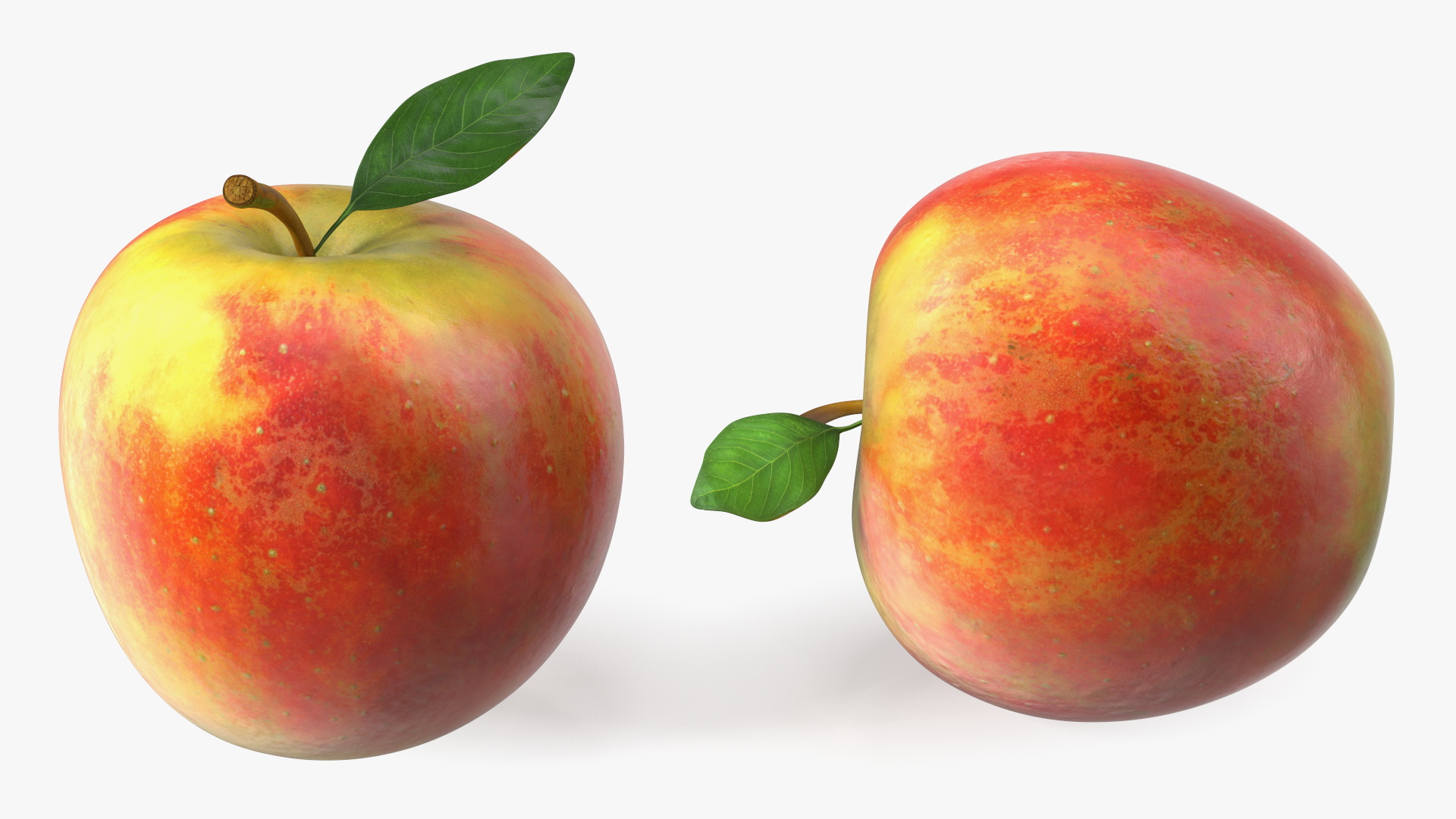 3D model Realistic Apple with Leaf