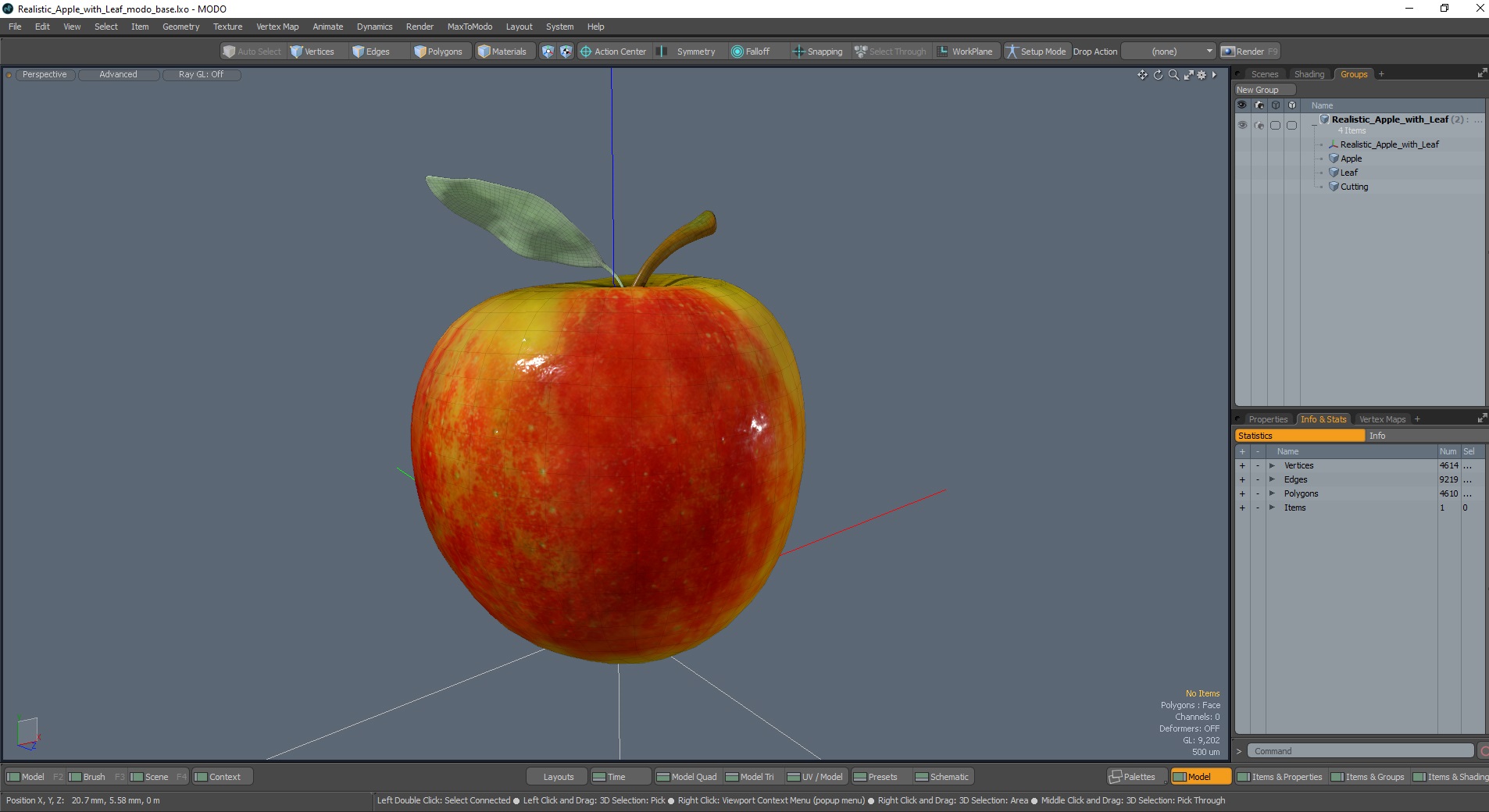 3D model Realistic Apple with Leaf