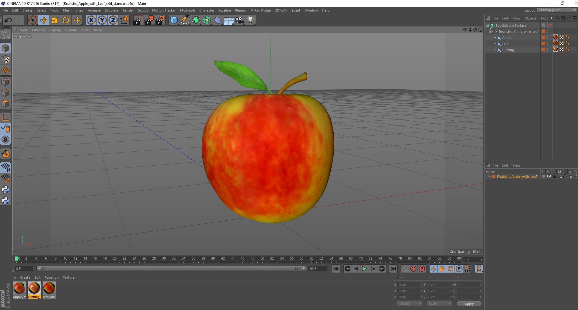 3D model Realistic Apple with Leaf