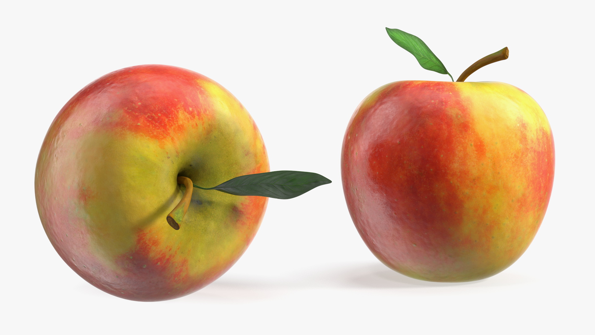 3D model Realistic Apple with Leaf