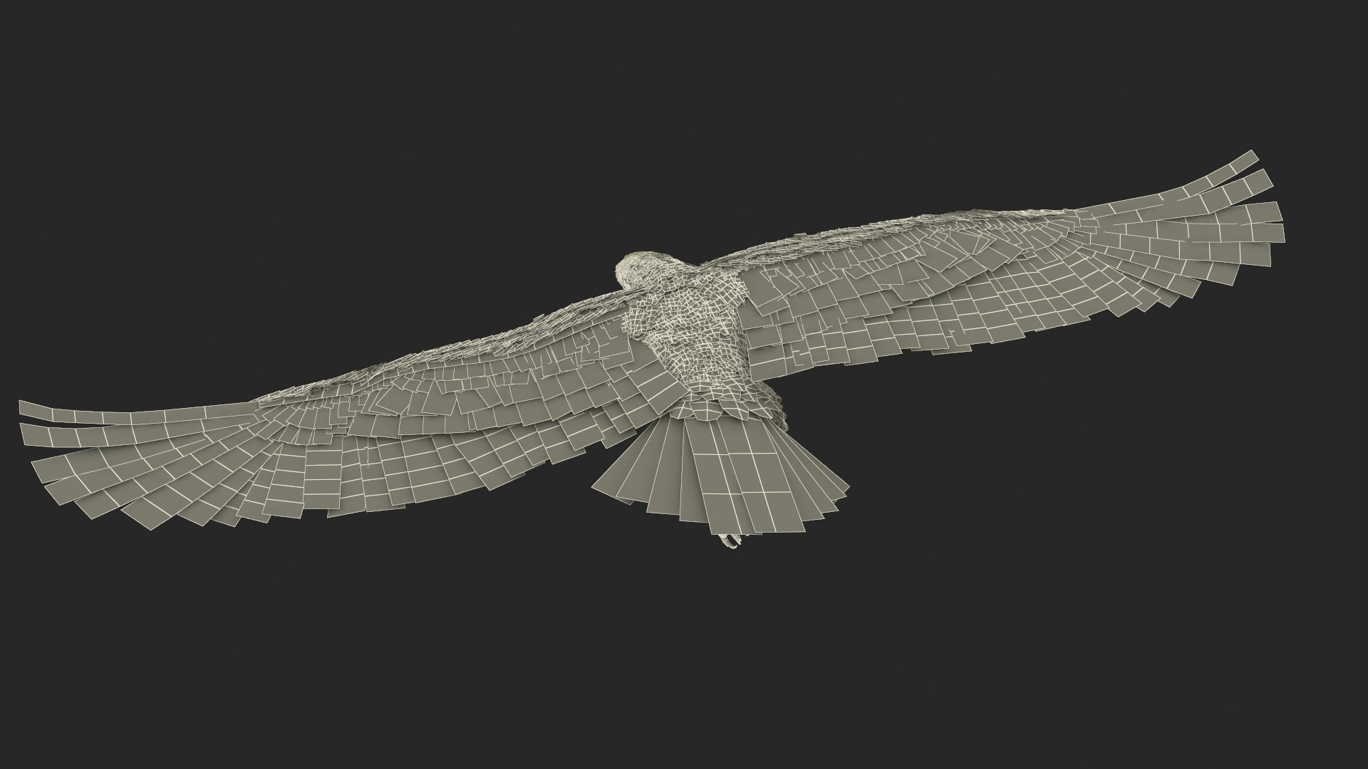 3D model Aquila Chrysaetos Eagle Flying