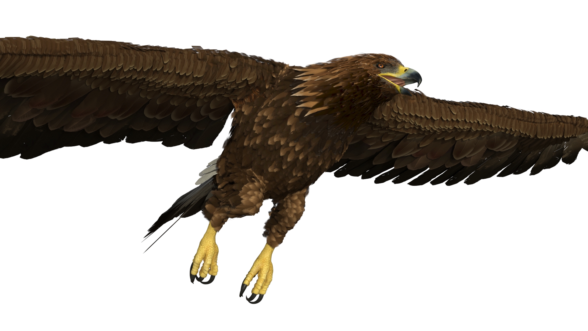 3D model Aquila Chrysaetos Eagle Flying