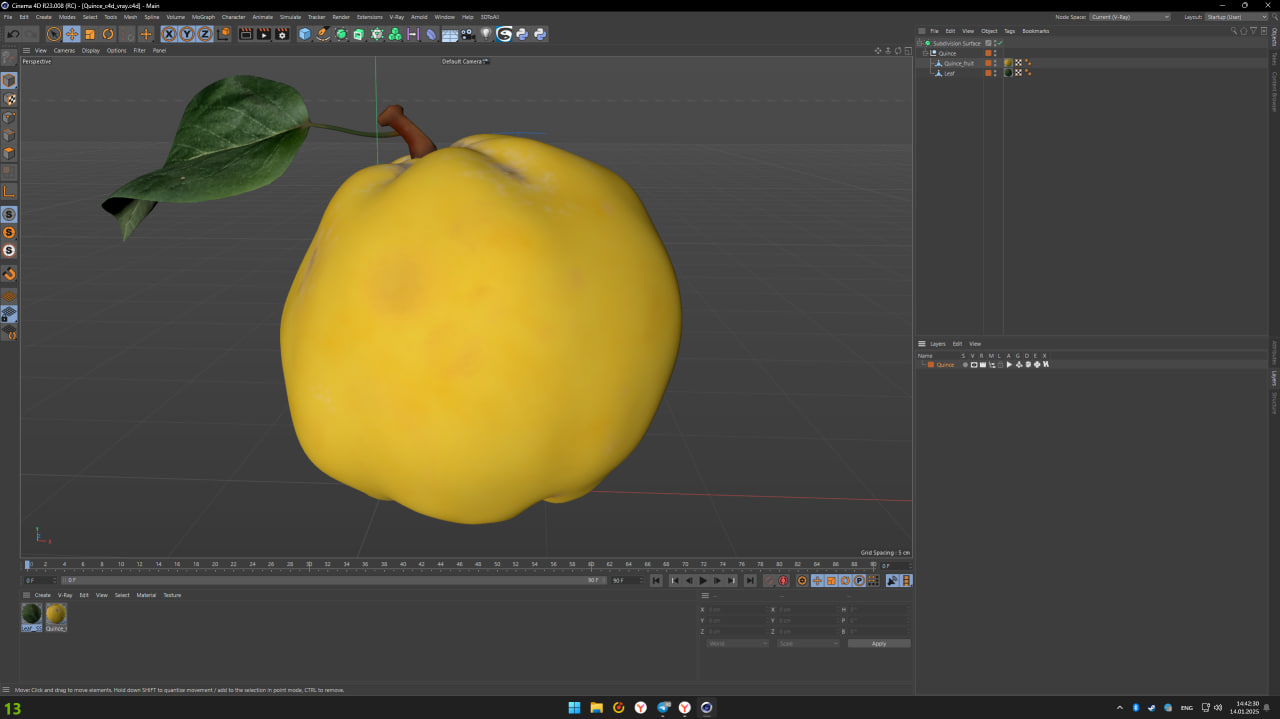 3D model Quince