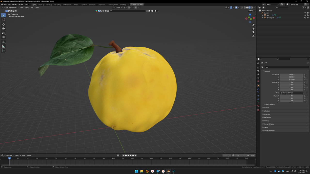 3D model Quince