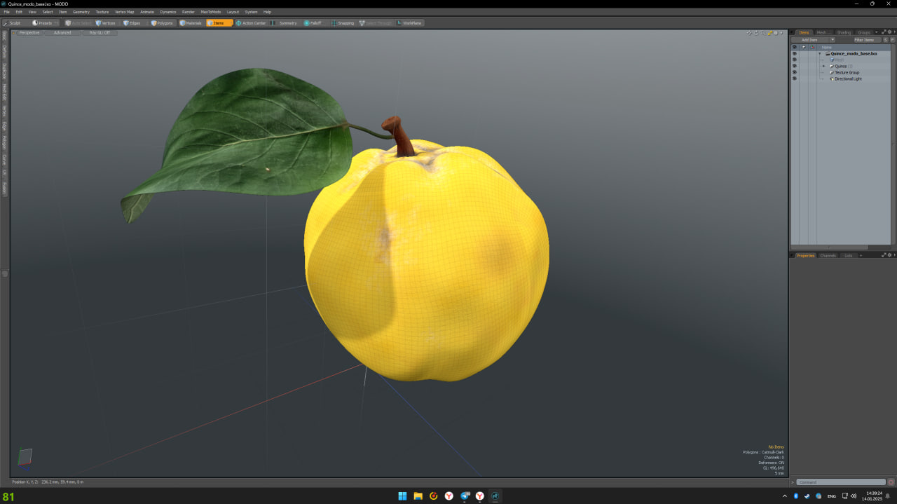 3D model Quince