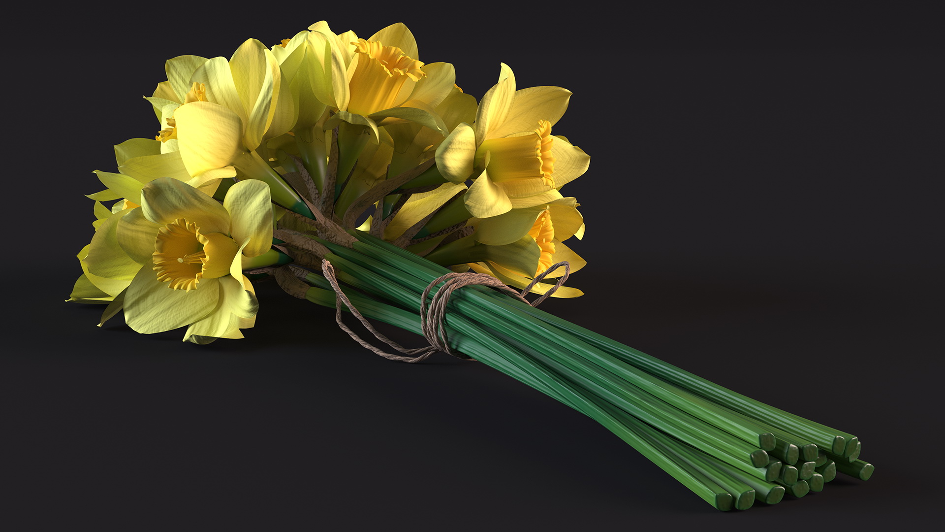 Daffodils Bouquet 3D