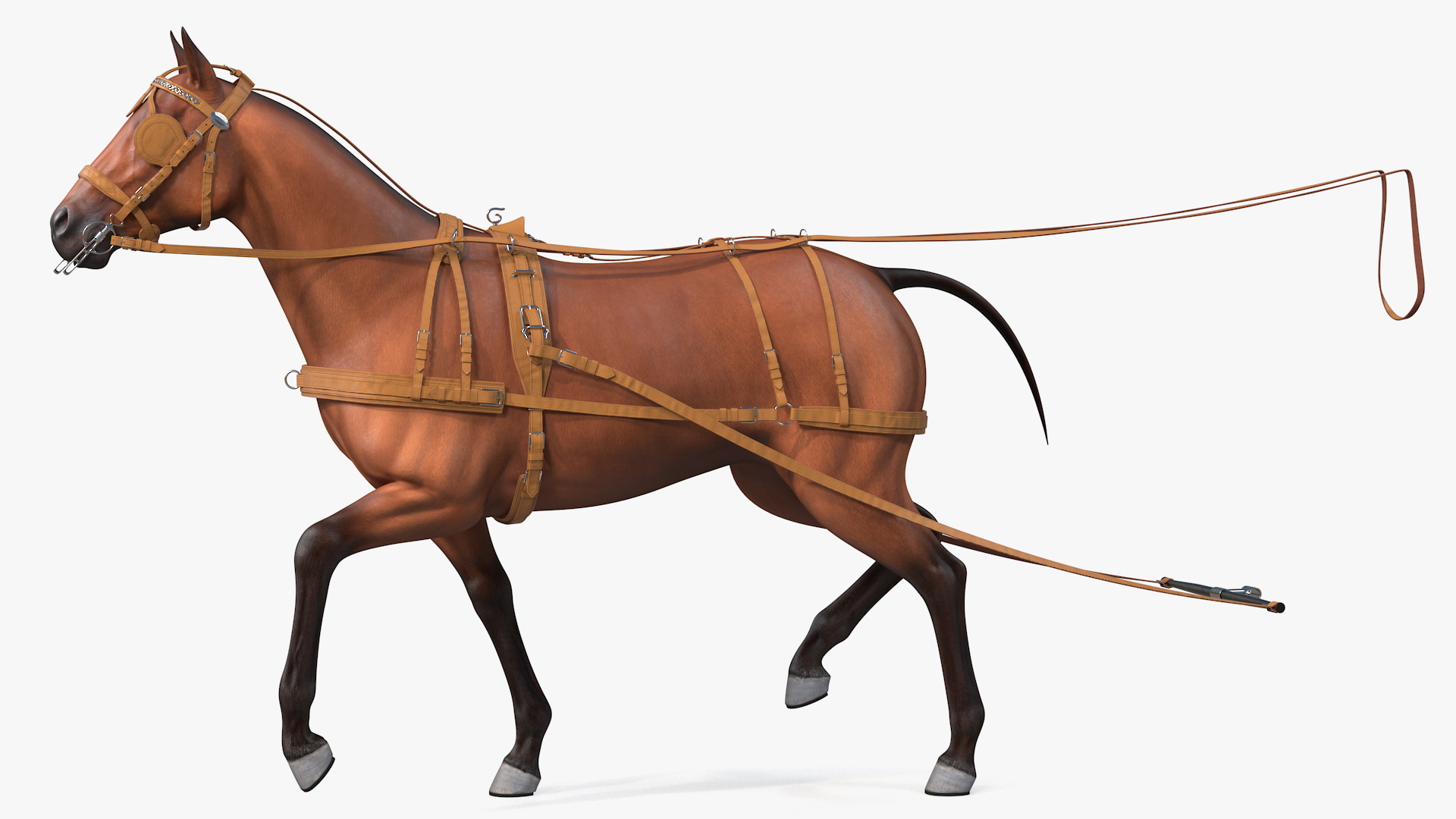 3D model Horse Drawn Leather Harness Walking Pose