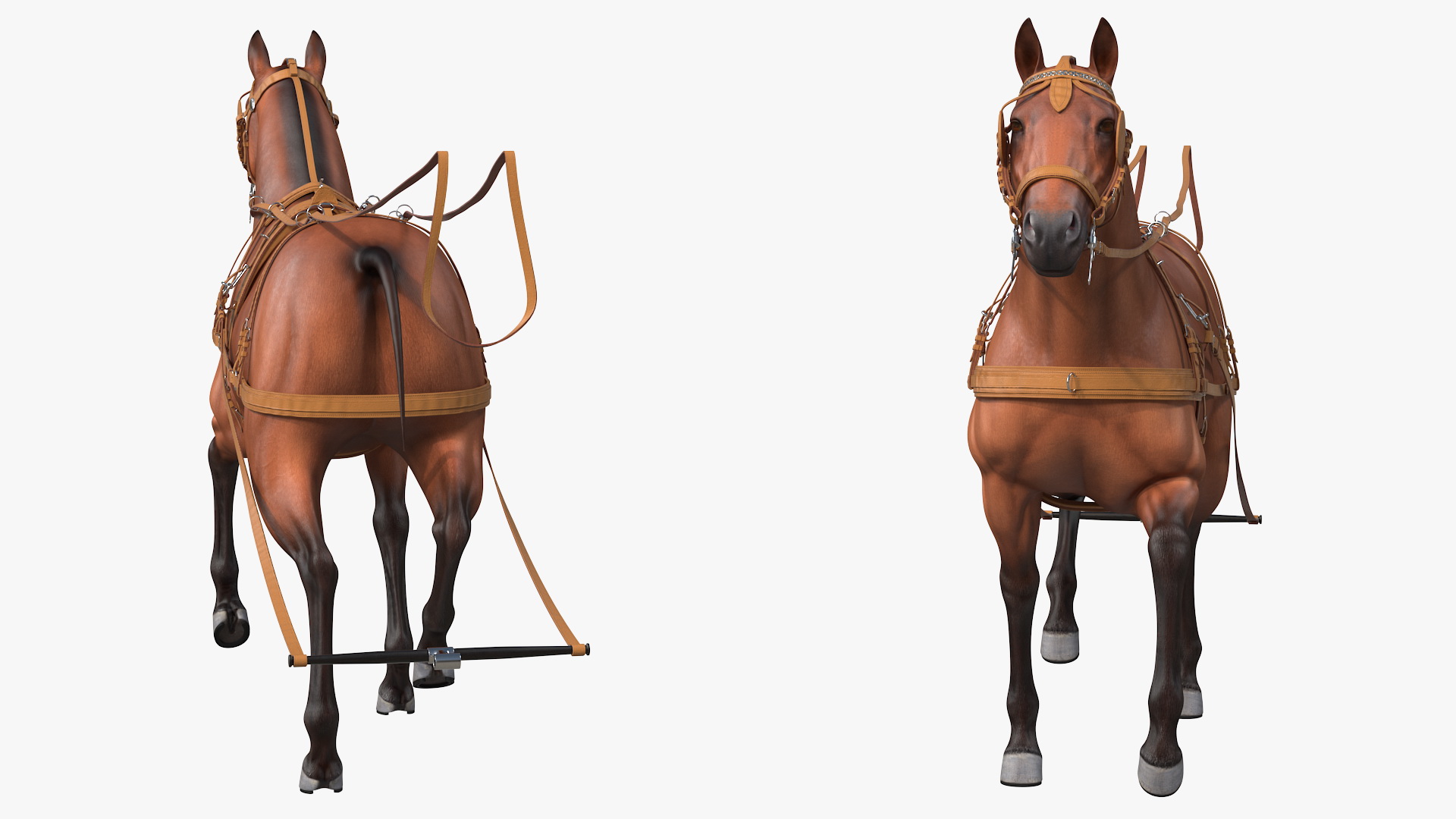 3D model Horse Drawn Leather Harness Walking Pose